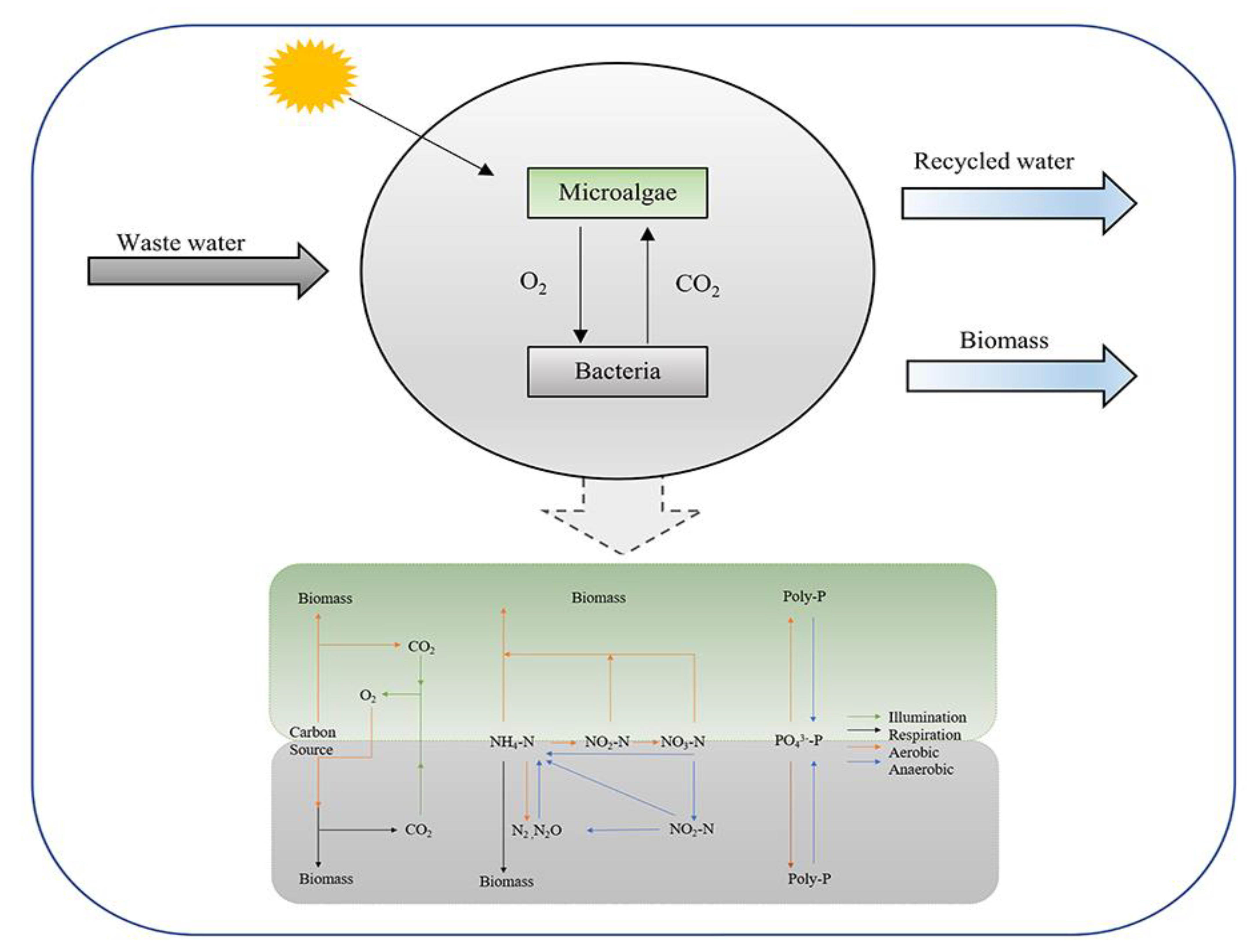 Ijerph 19 13950 g003