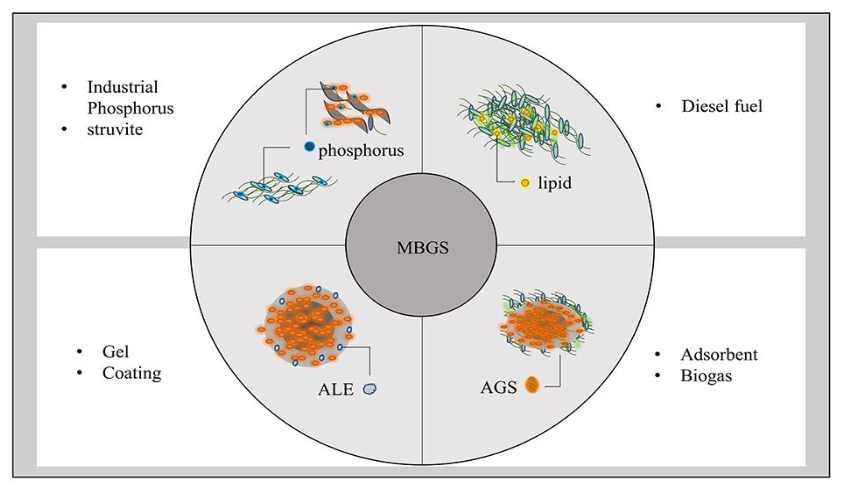 Ijerph 19 13950 g004