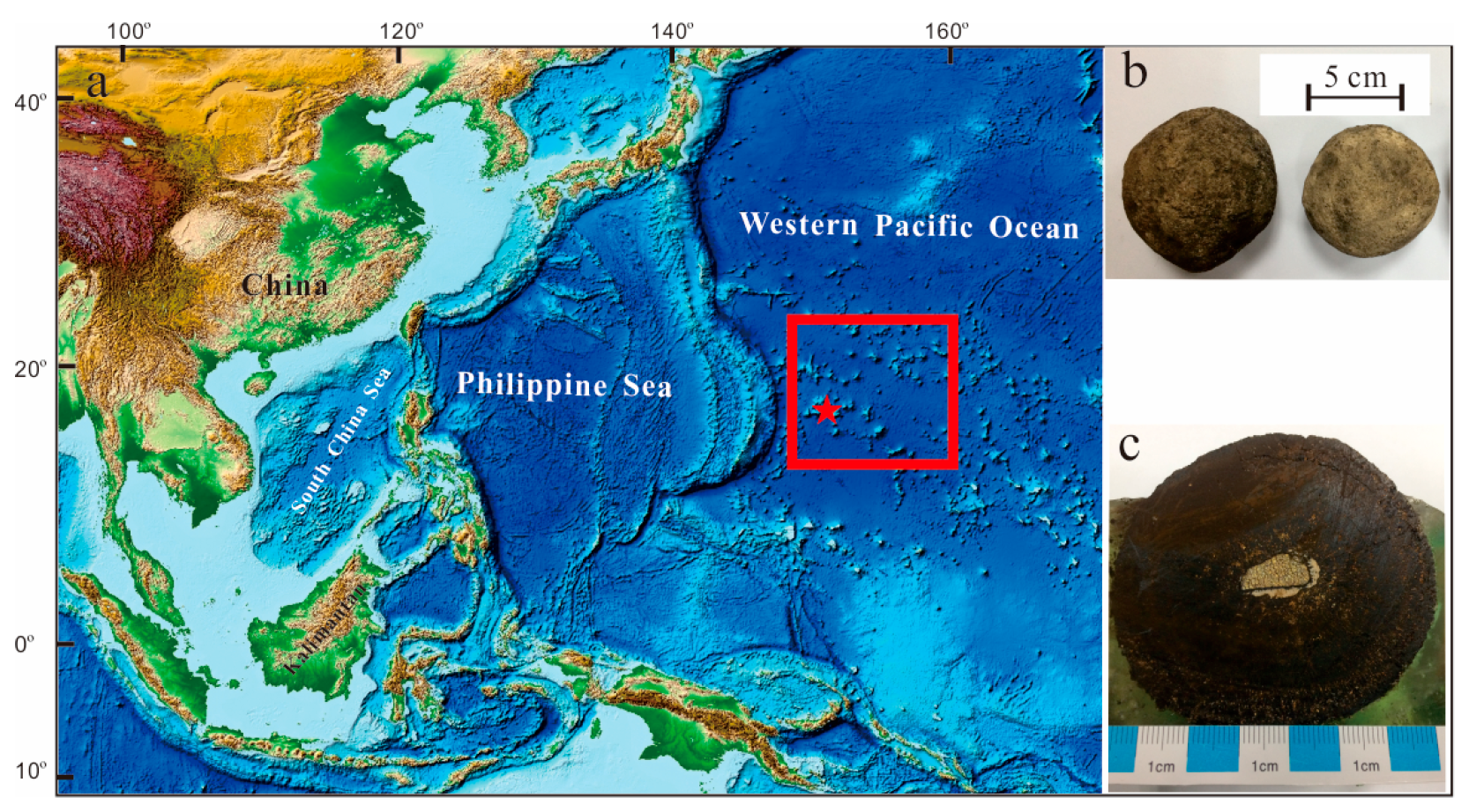 Ijerph 19 13972 g001 Ijerph 19 13972 g001