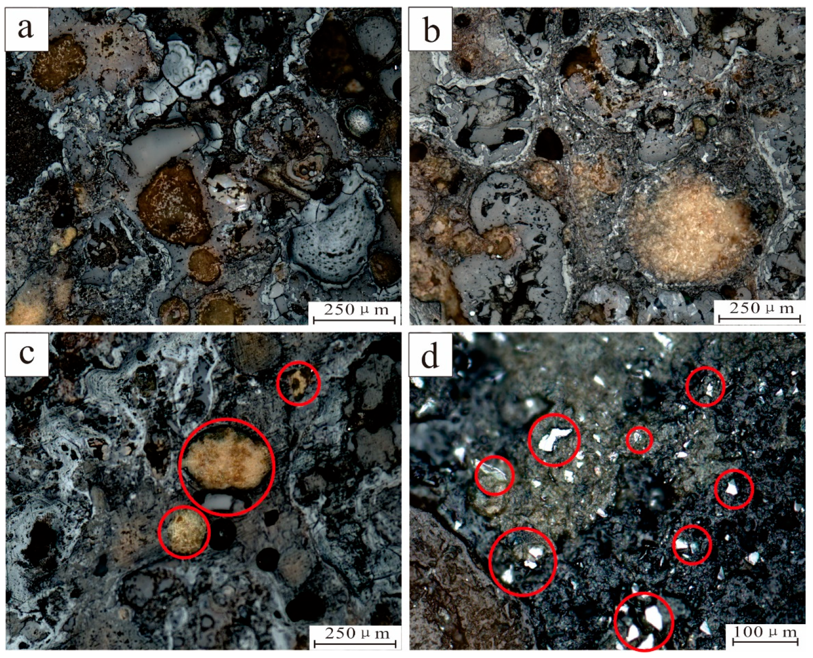 Ijerph 19 13972 g002 Ijerph 19 13972 g002