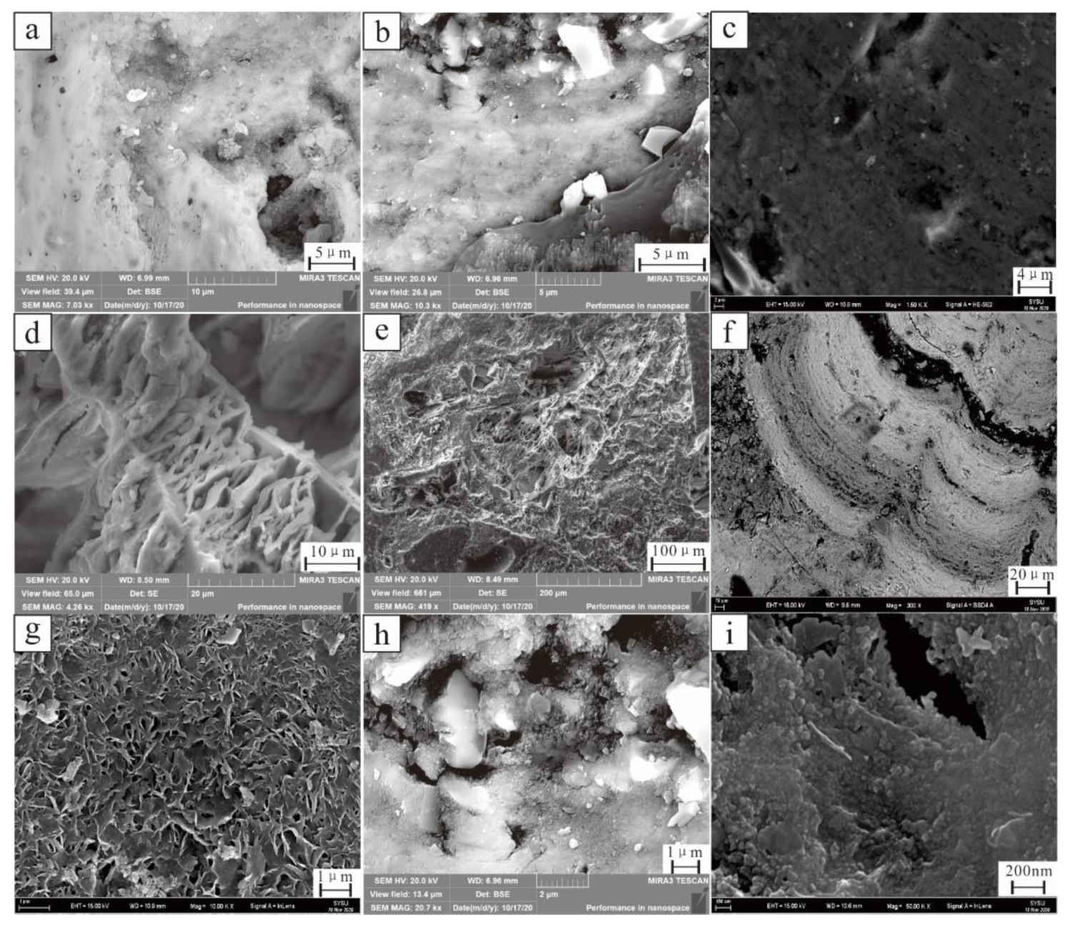 Ijerph 19 13972 g005 Ijerph 19 13972 g005