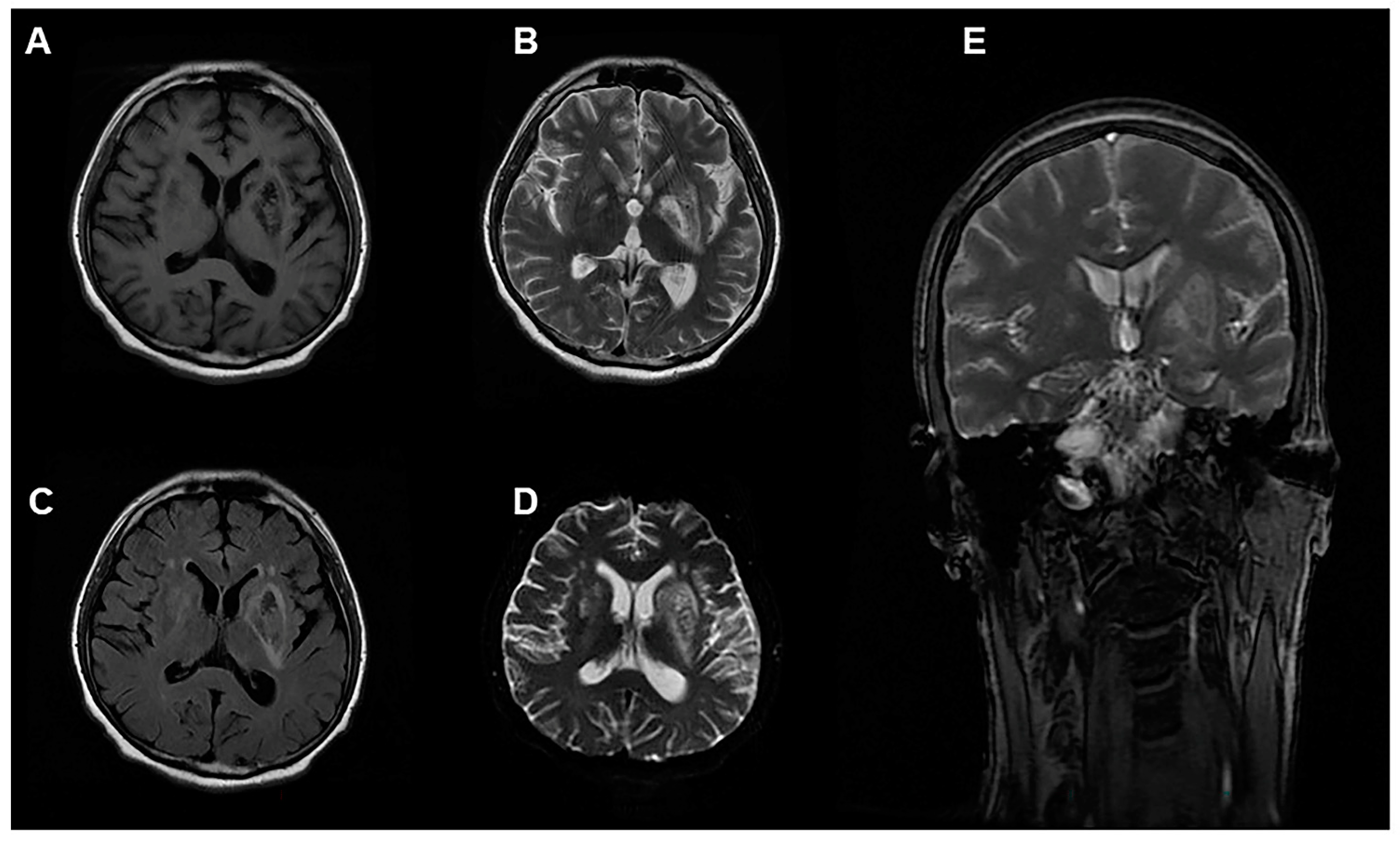 Ijerph 19 14031 g002