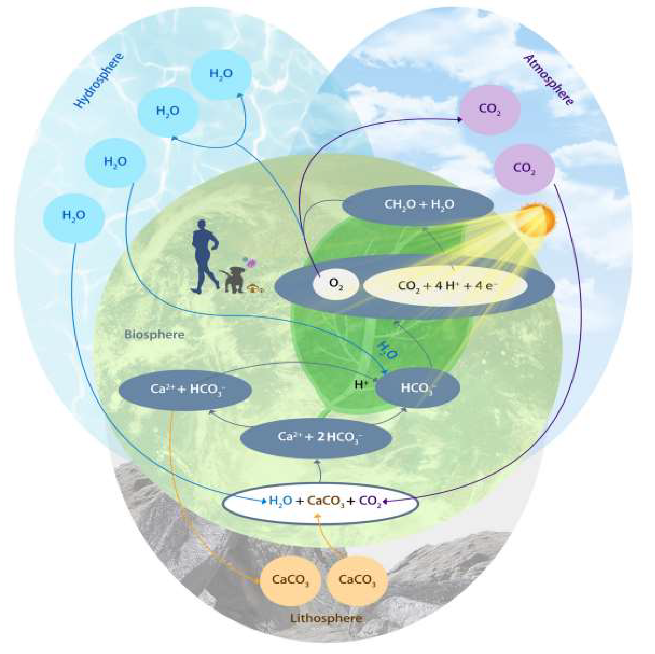 Ijerph 19 14109 g002
