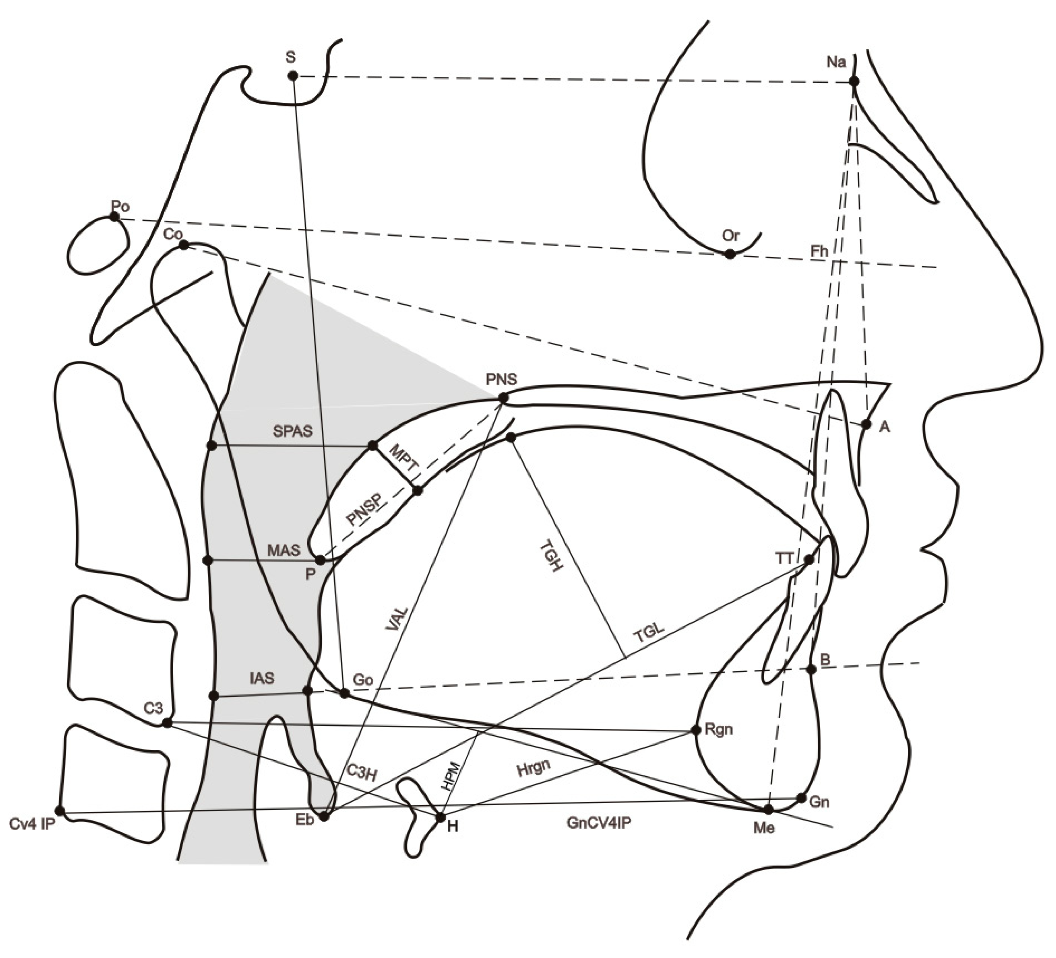 Ijerph 19 14154 g001
