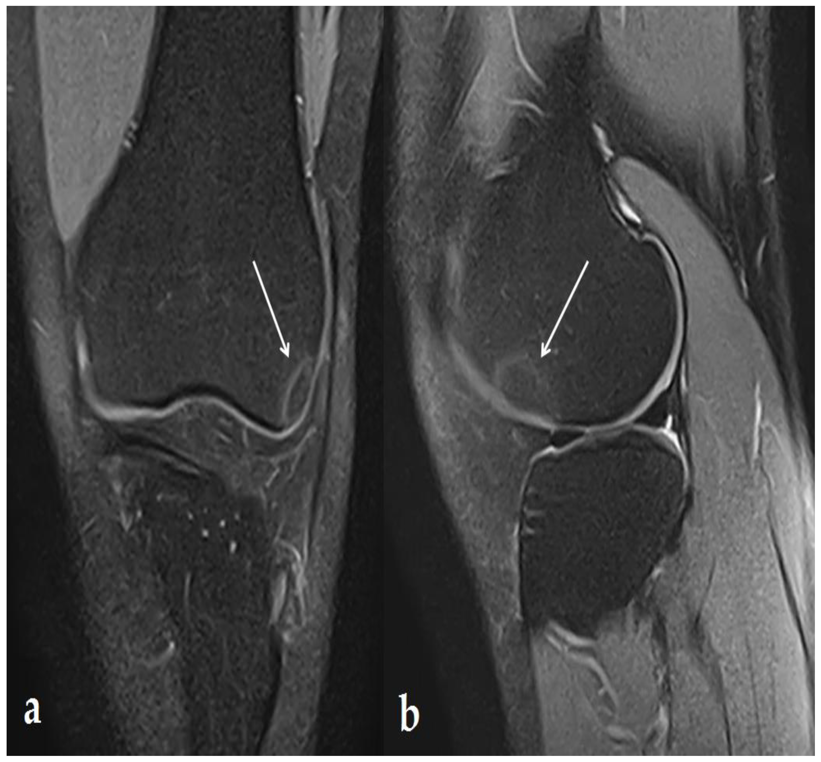 Ijerph 19 14202 g001