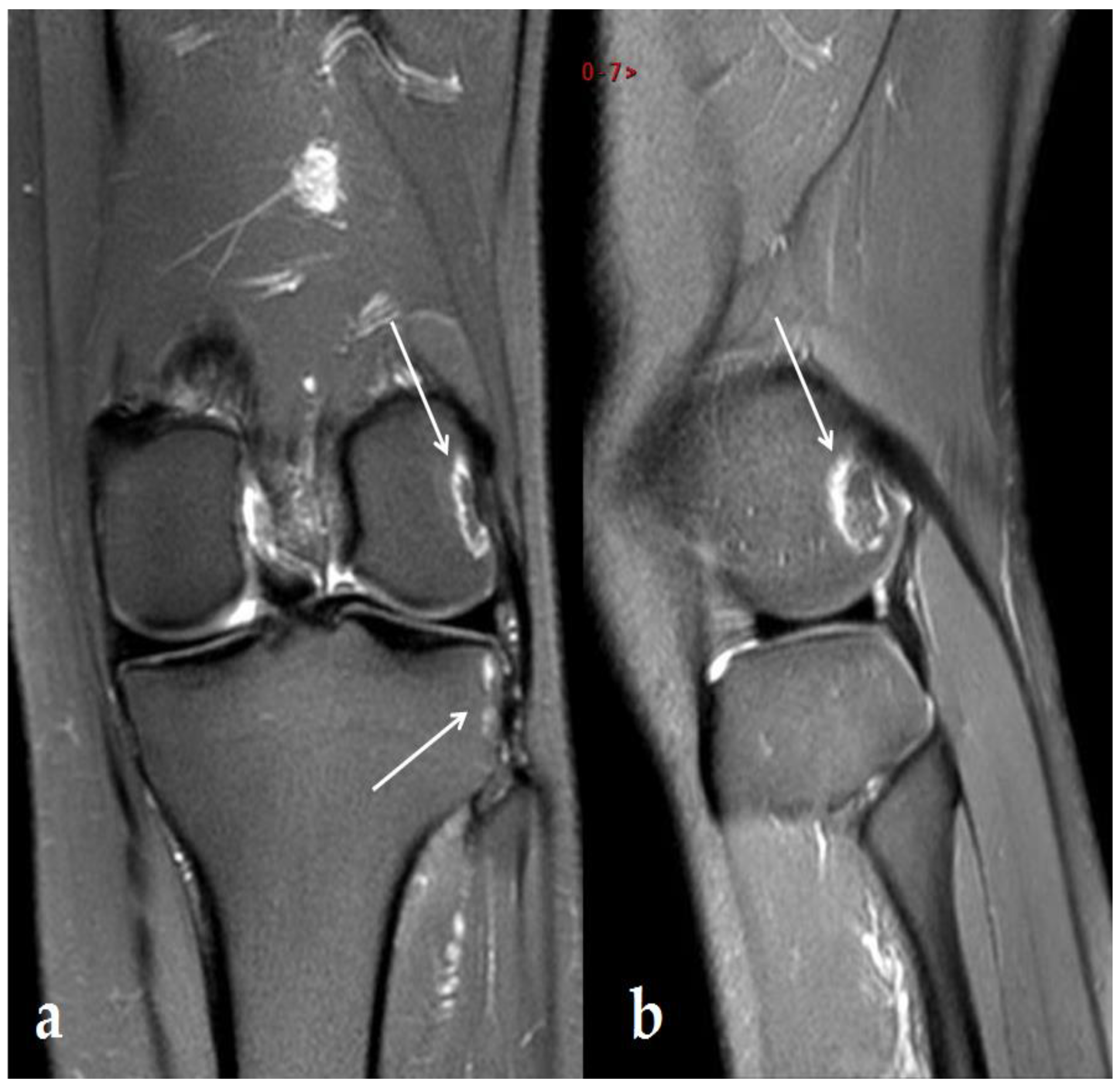 Ijerph 19 14202 g004