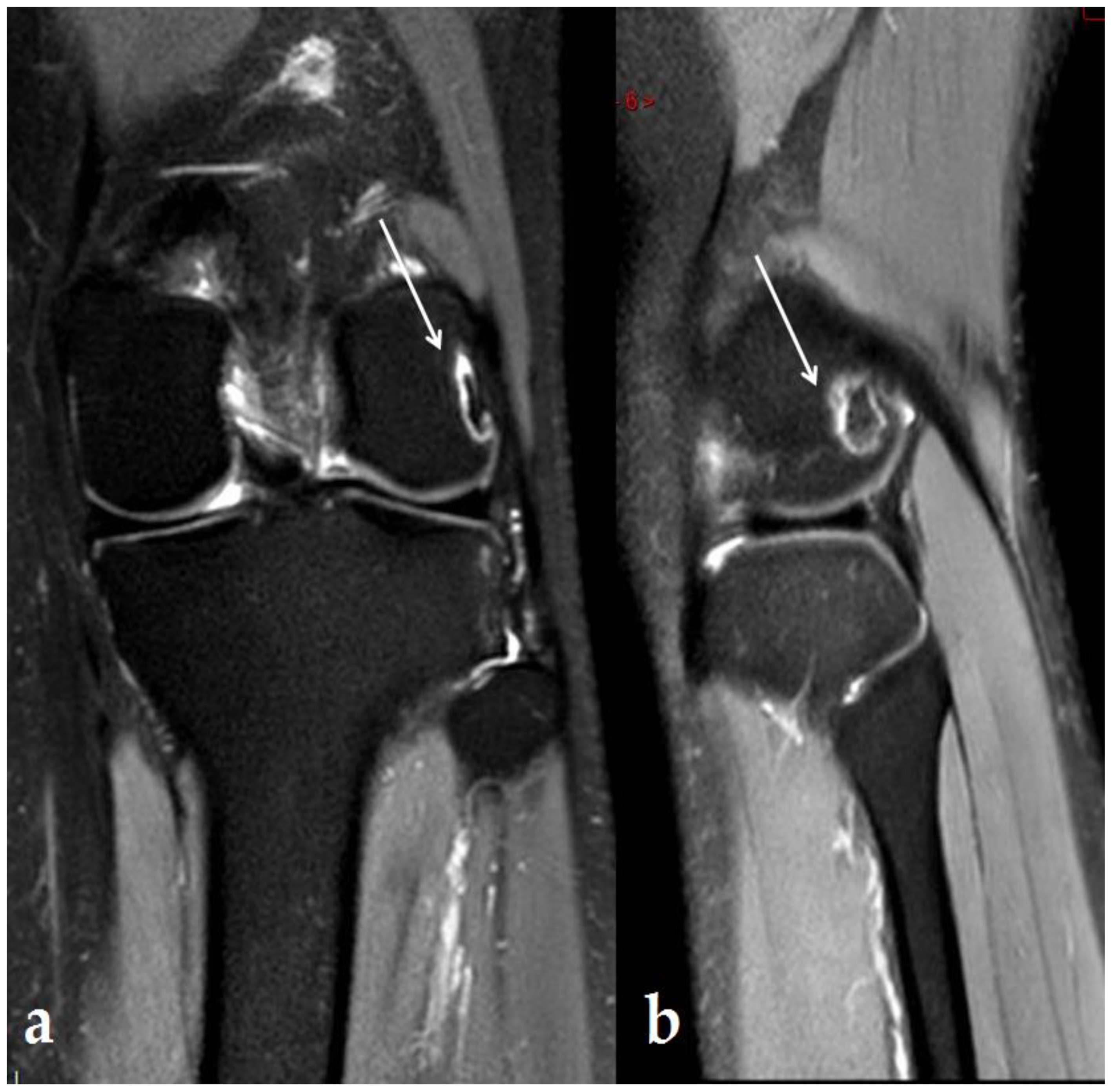 Ijerph 19 14202 g005
