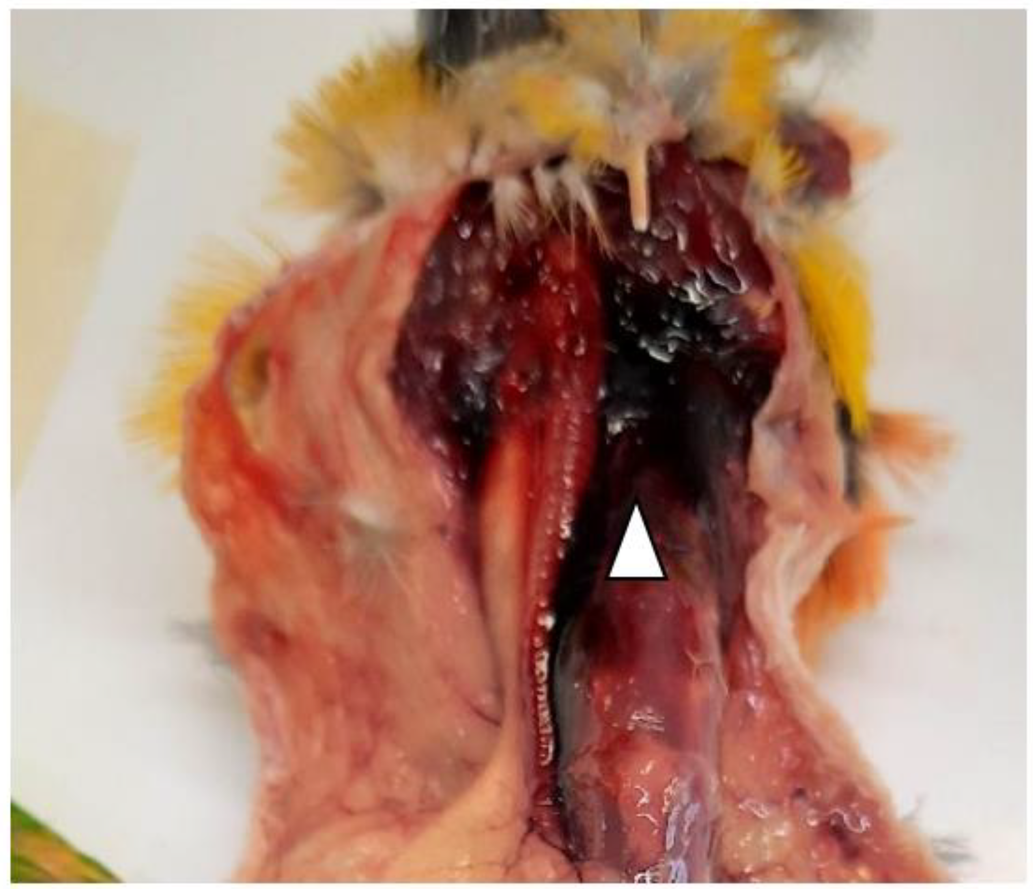 Ijerph 19 14204 g001