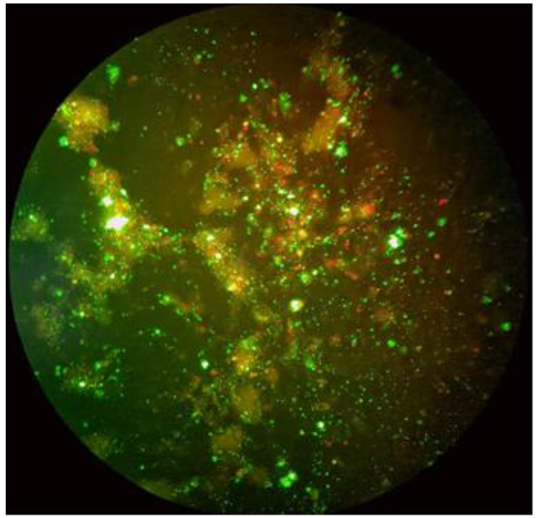 Ijerph 19 14204 g003