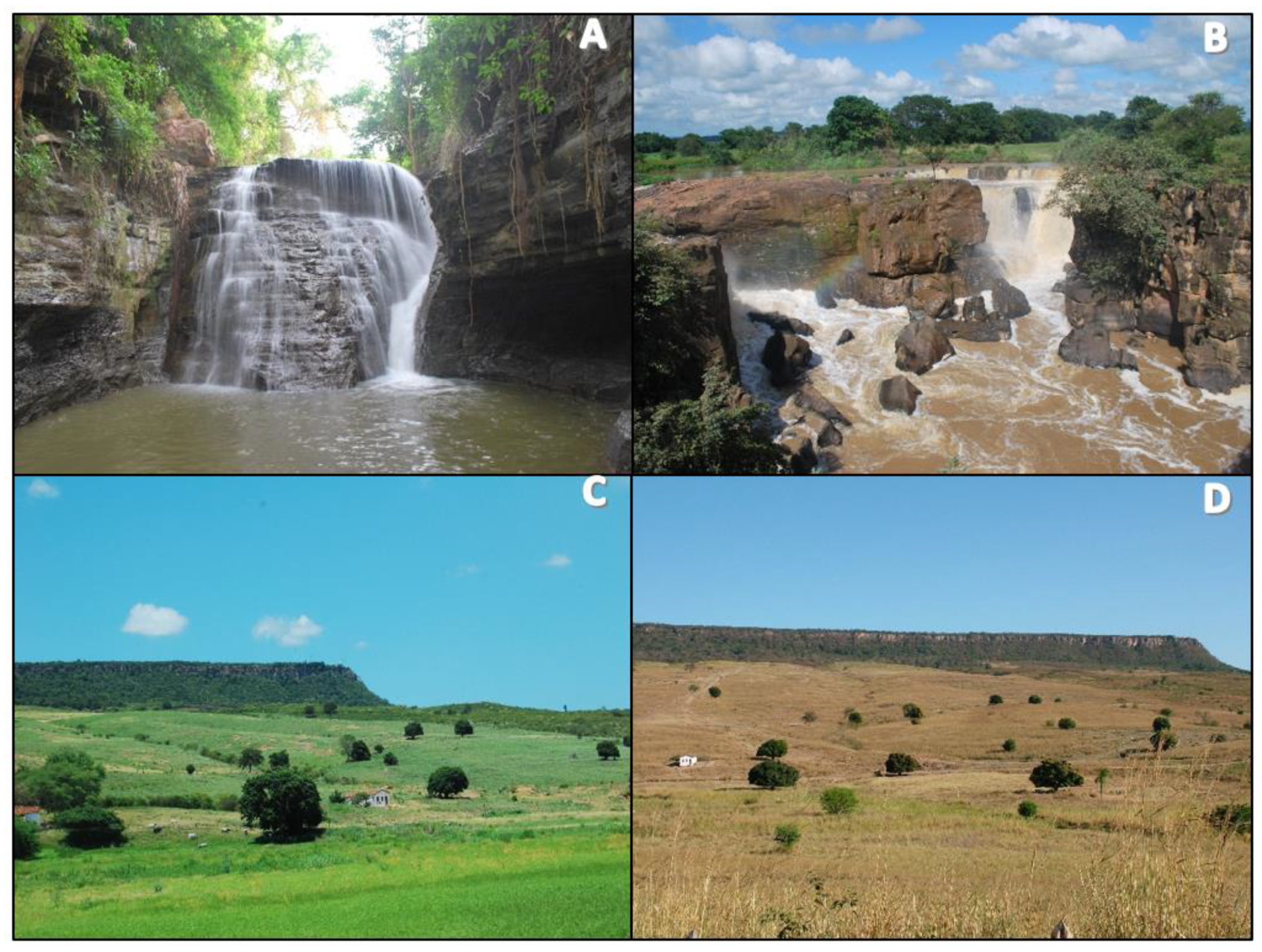 Ijerph 19 14297 g008