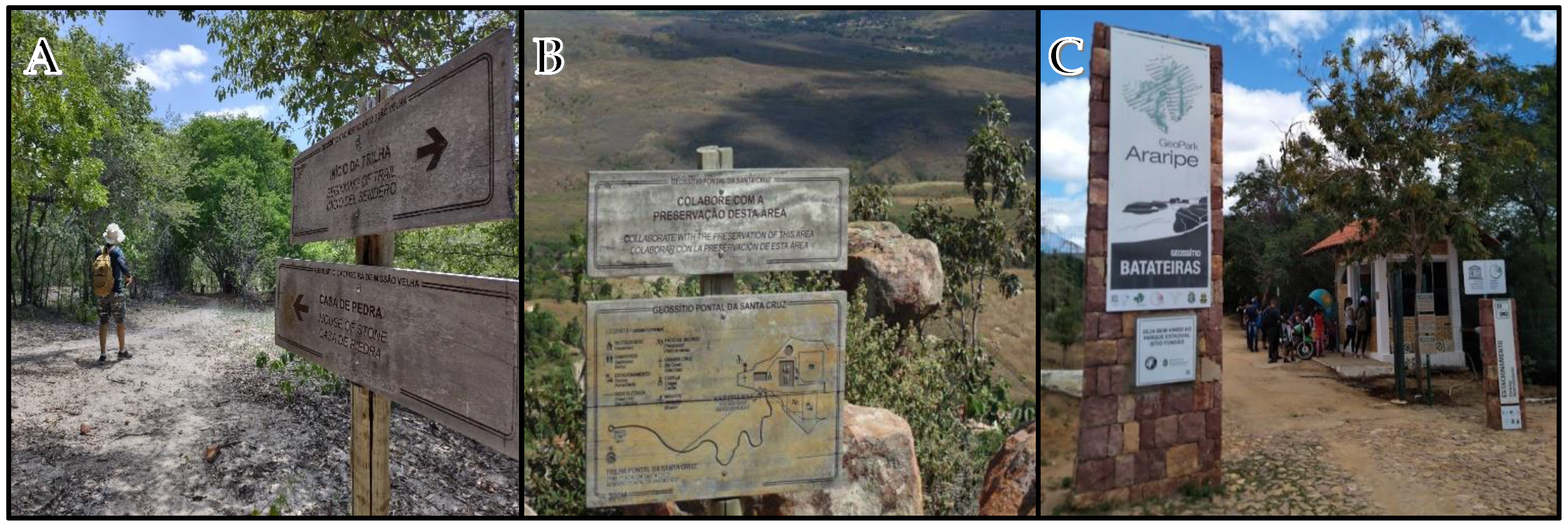 Ijerph 19 14297 g009