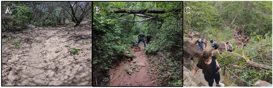 Ijerph 19 14297 g010