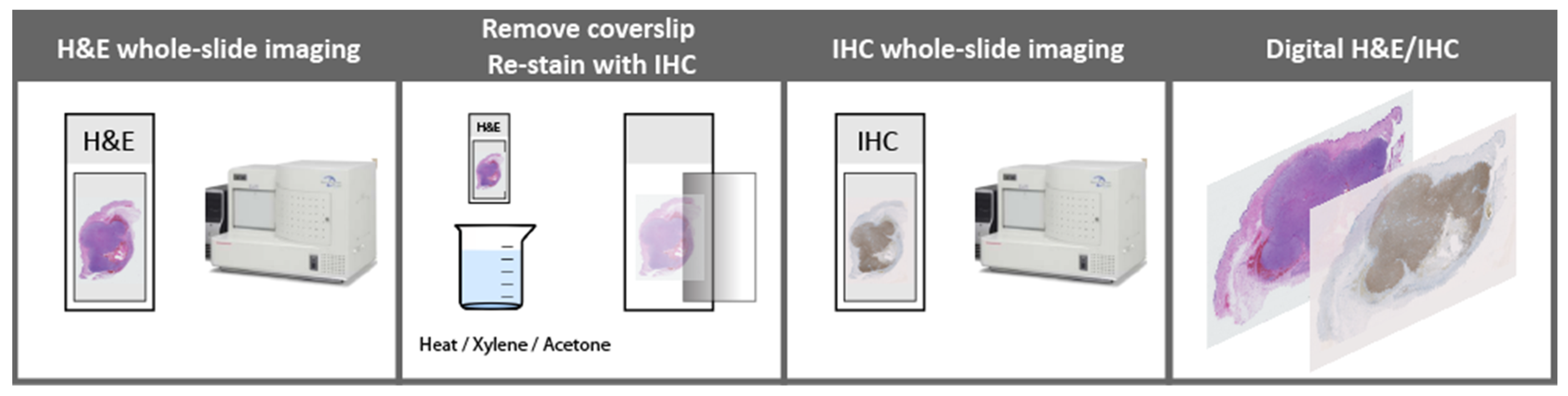 Ijerph 19 14327 g002