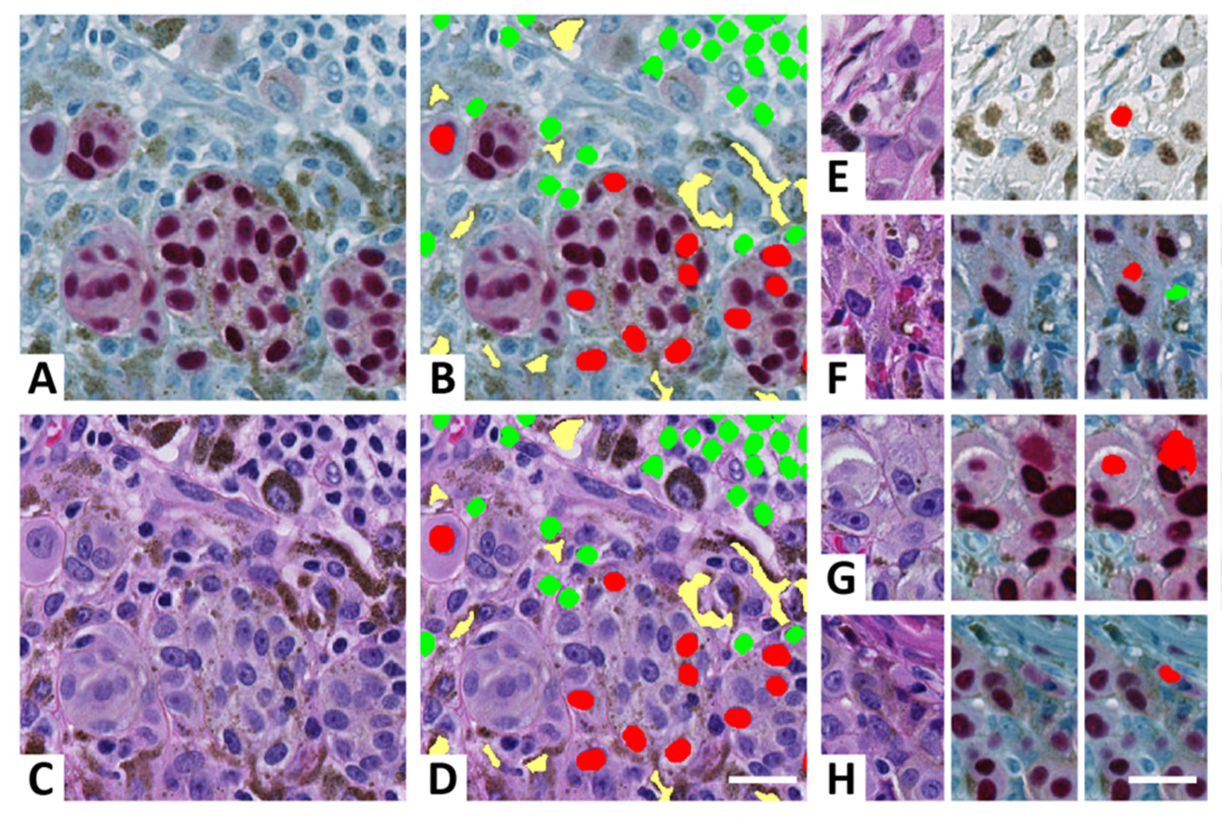 Ijerph 19 14327 g004