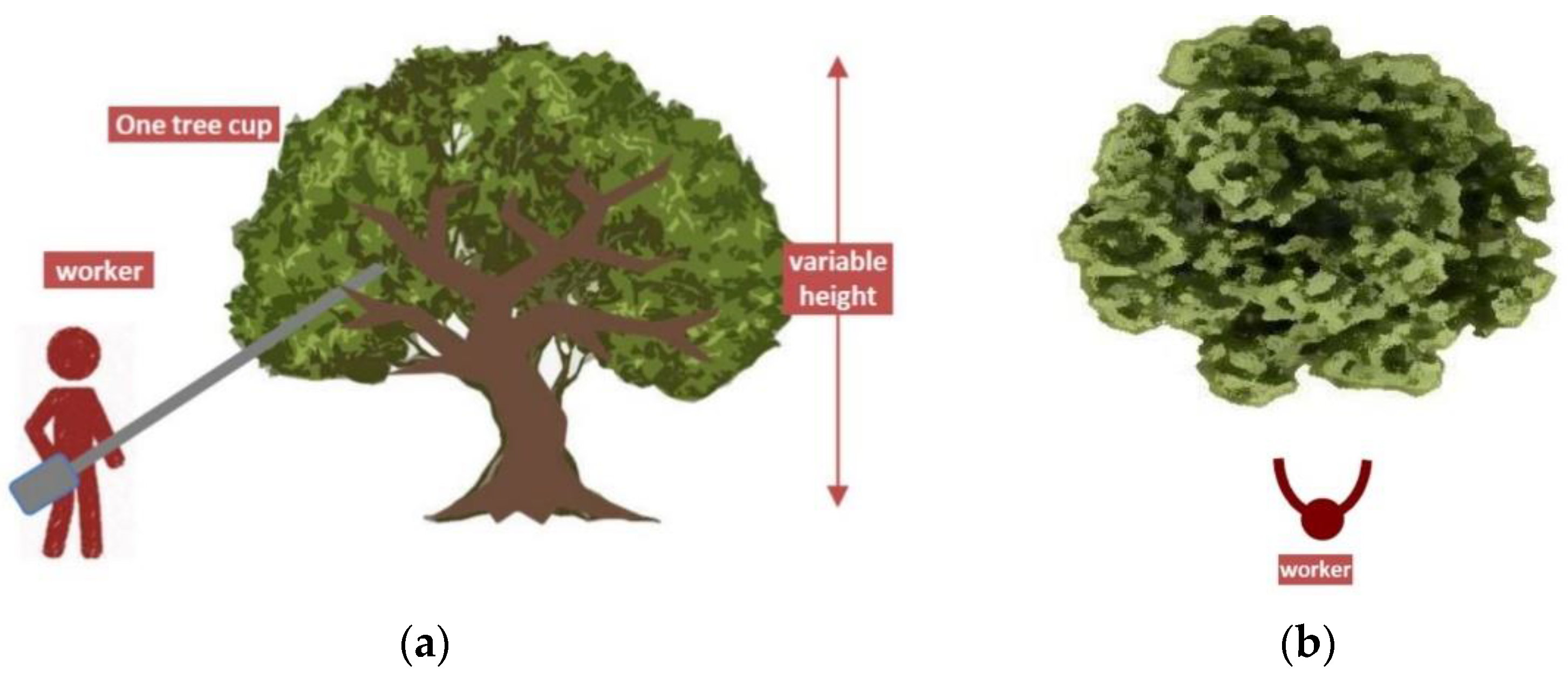 Ijerph 19 14345 g007