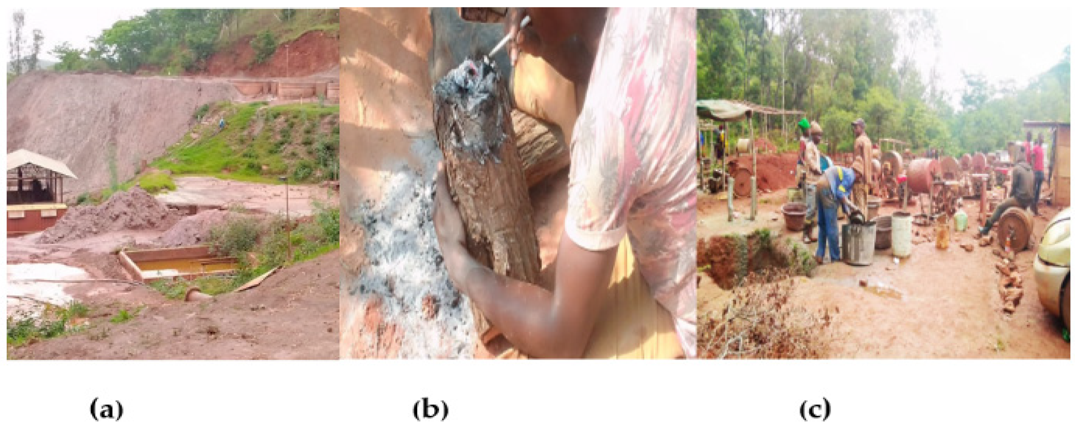 Ijerph 19 14352 g003 Ijerph 19 14352 g003