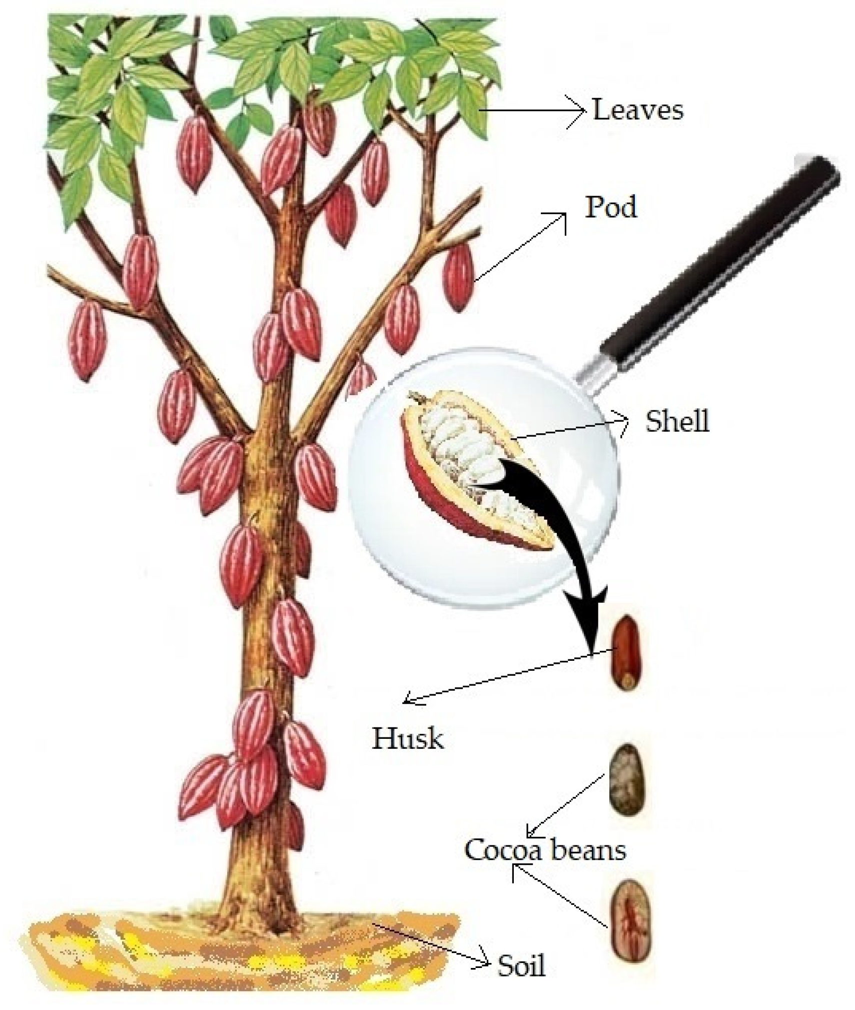 Ijerph 19 14369 g002