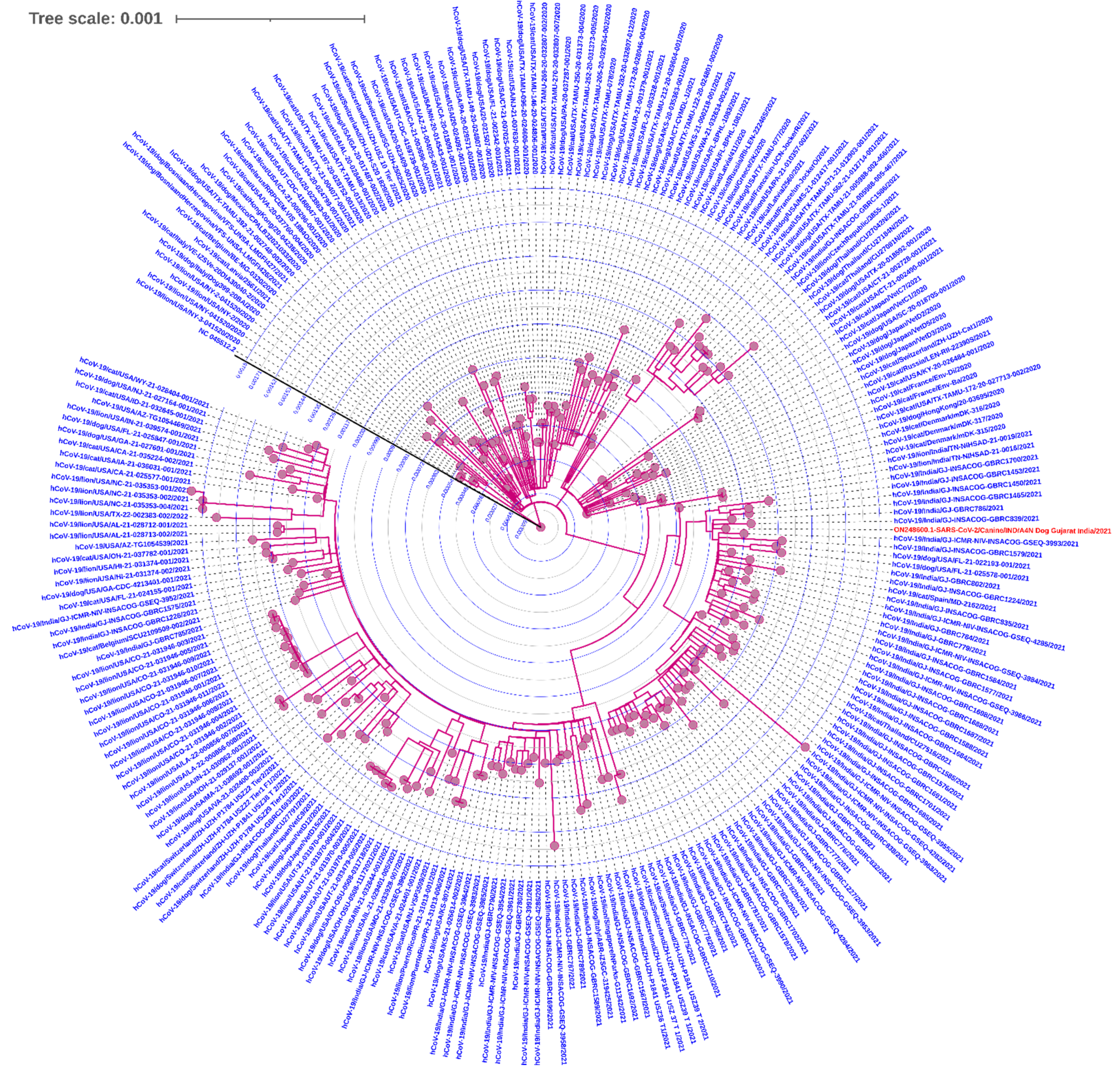 Ijerph 19 14391 g002 Ijerph 19 14391 g002