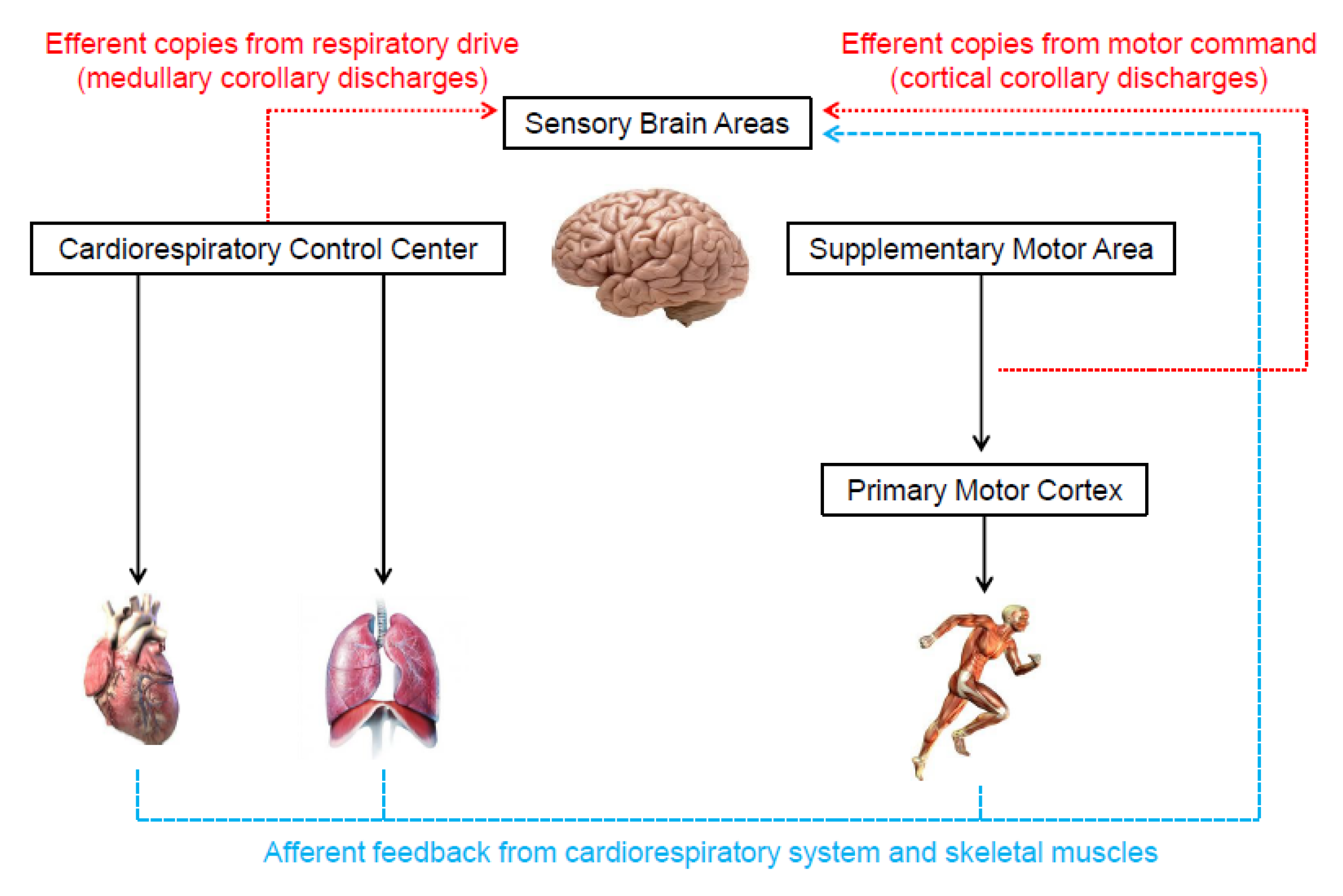 Ijerph 19 14439 g003