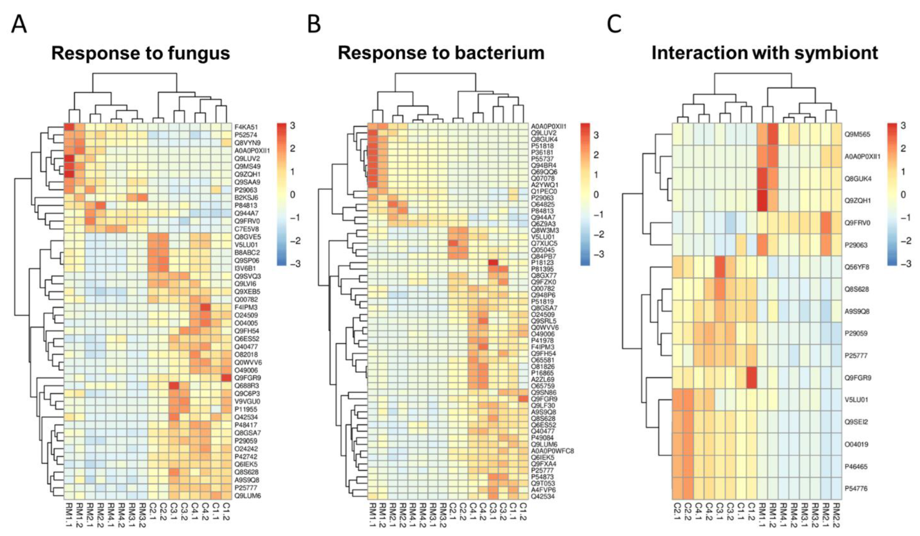 Ijerph 19 14441 g004
