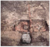 Ijerph 19 14470 i003