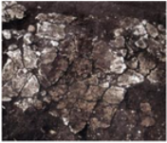 Ijerph 19 14470 i005