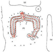 Ijerph 19 14470 i034