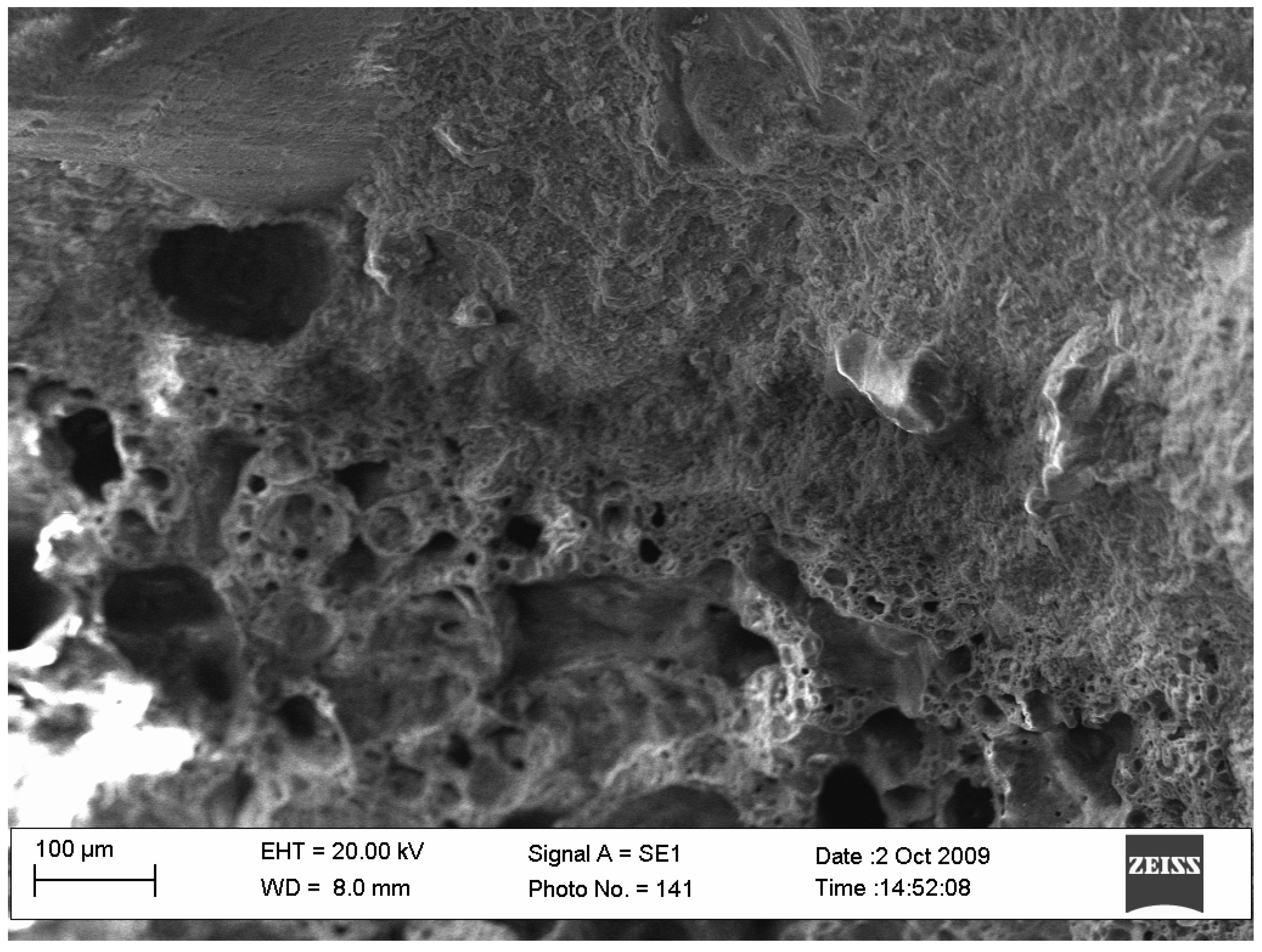 Ijerph 19 14486 g003