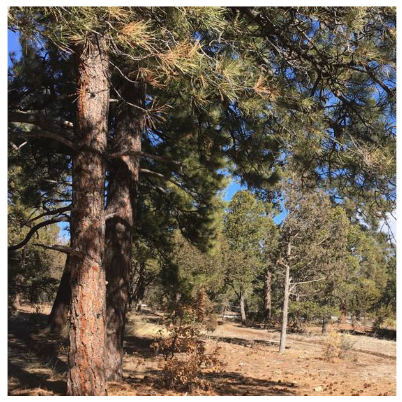 Ijerph 19 14505 g001