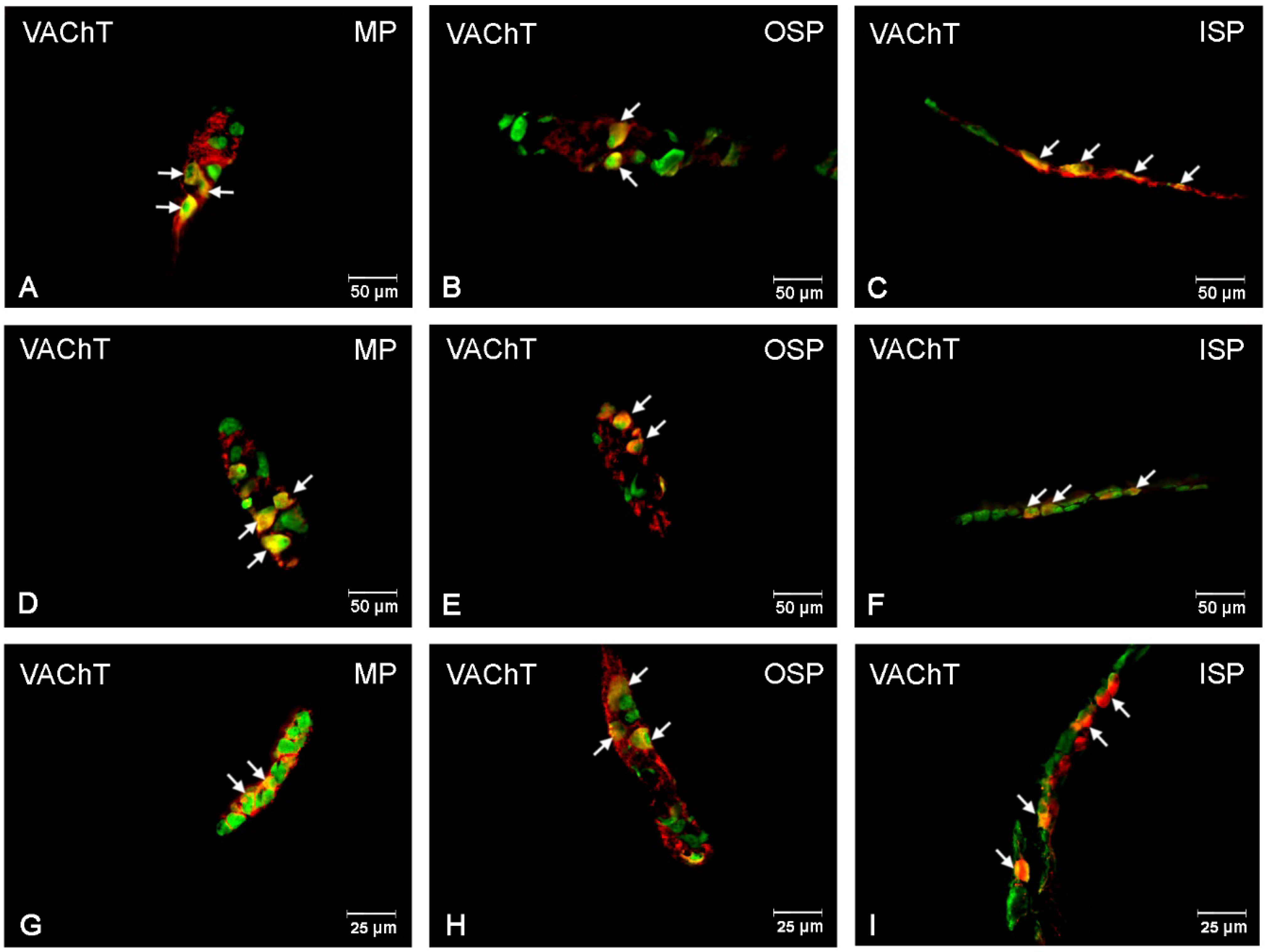 Ijerph 19 14514 g004