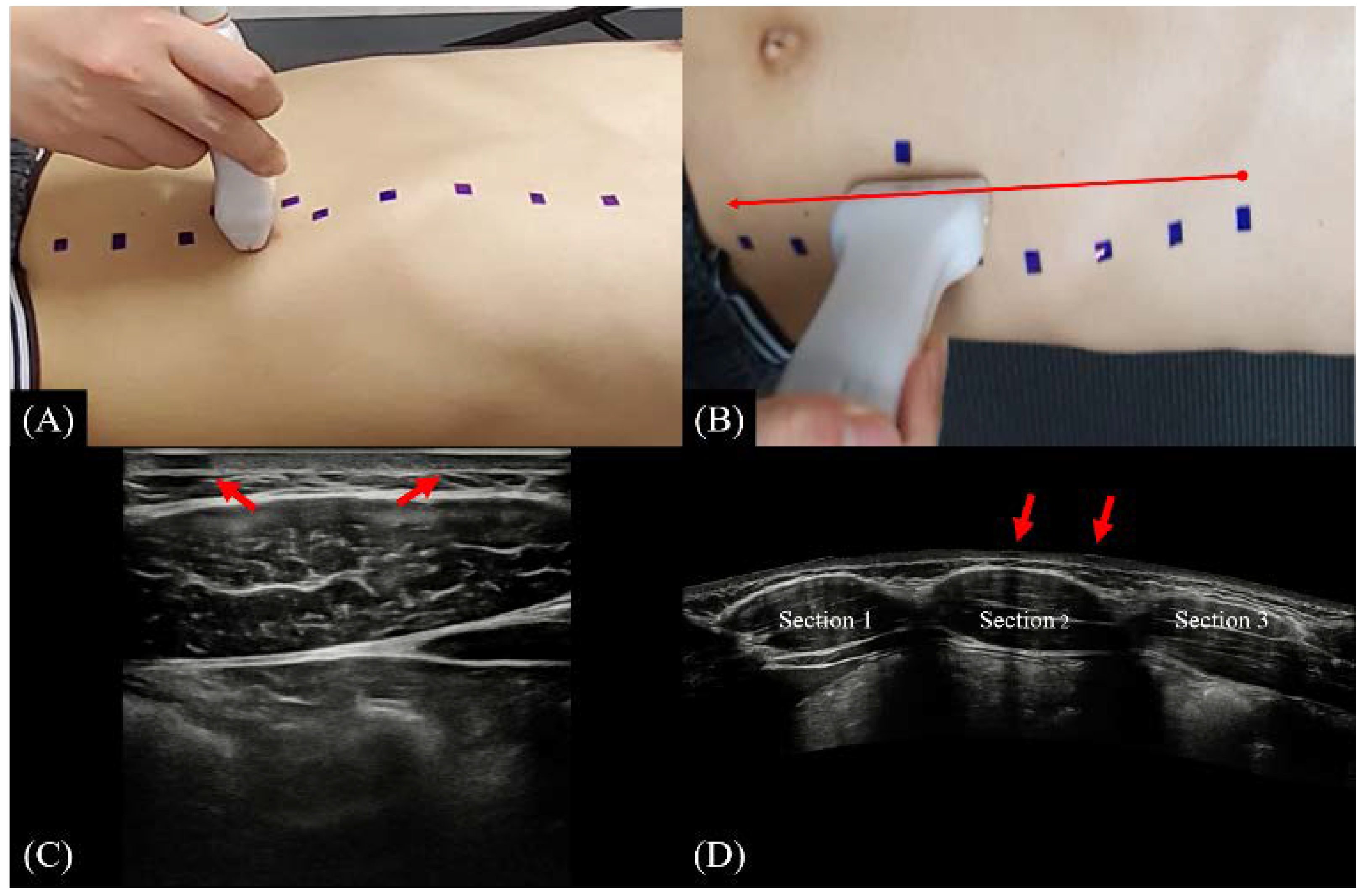 Ijerph 19 14525 g003
