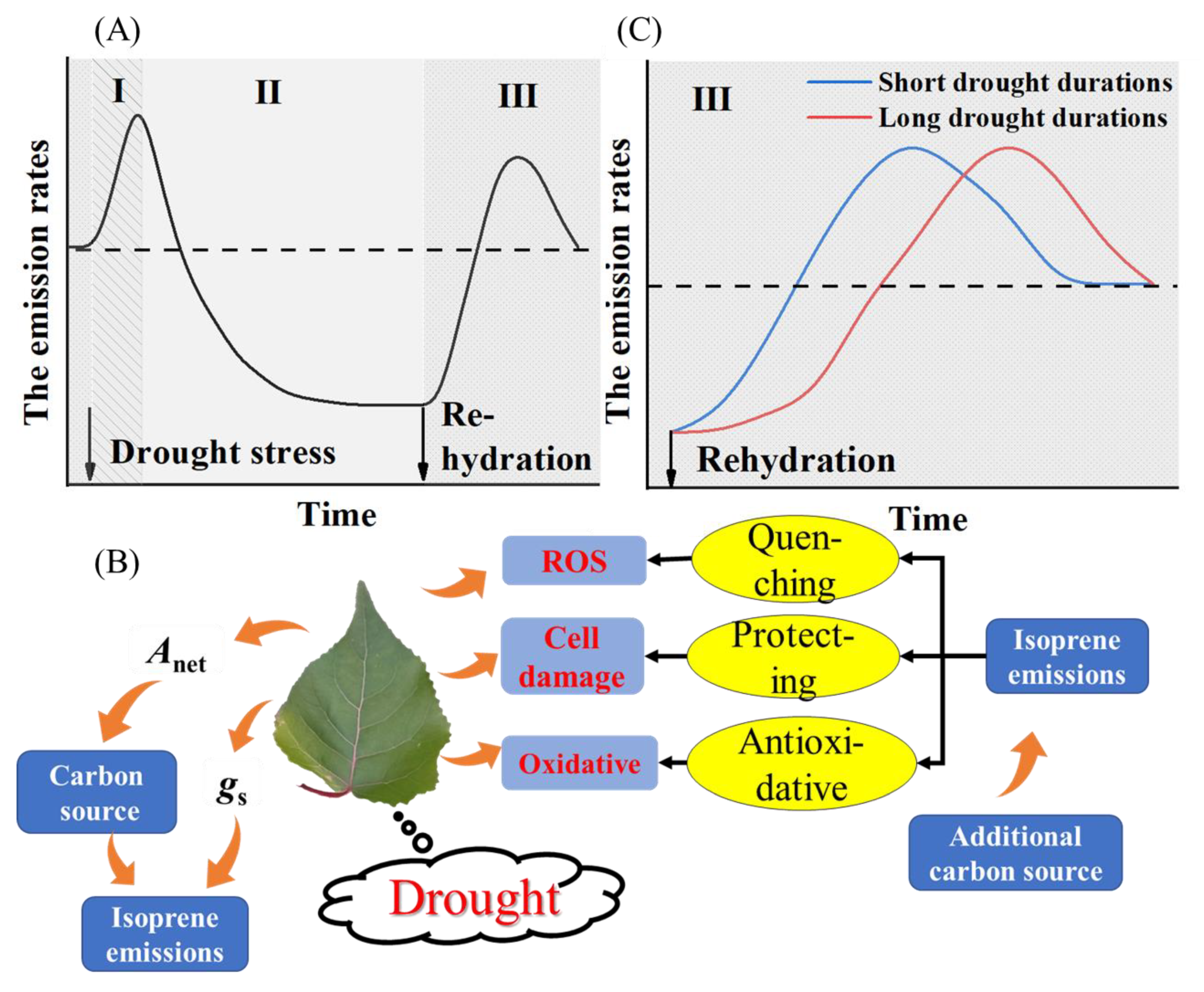 Ijerph 19 14528 g004
