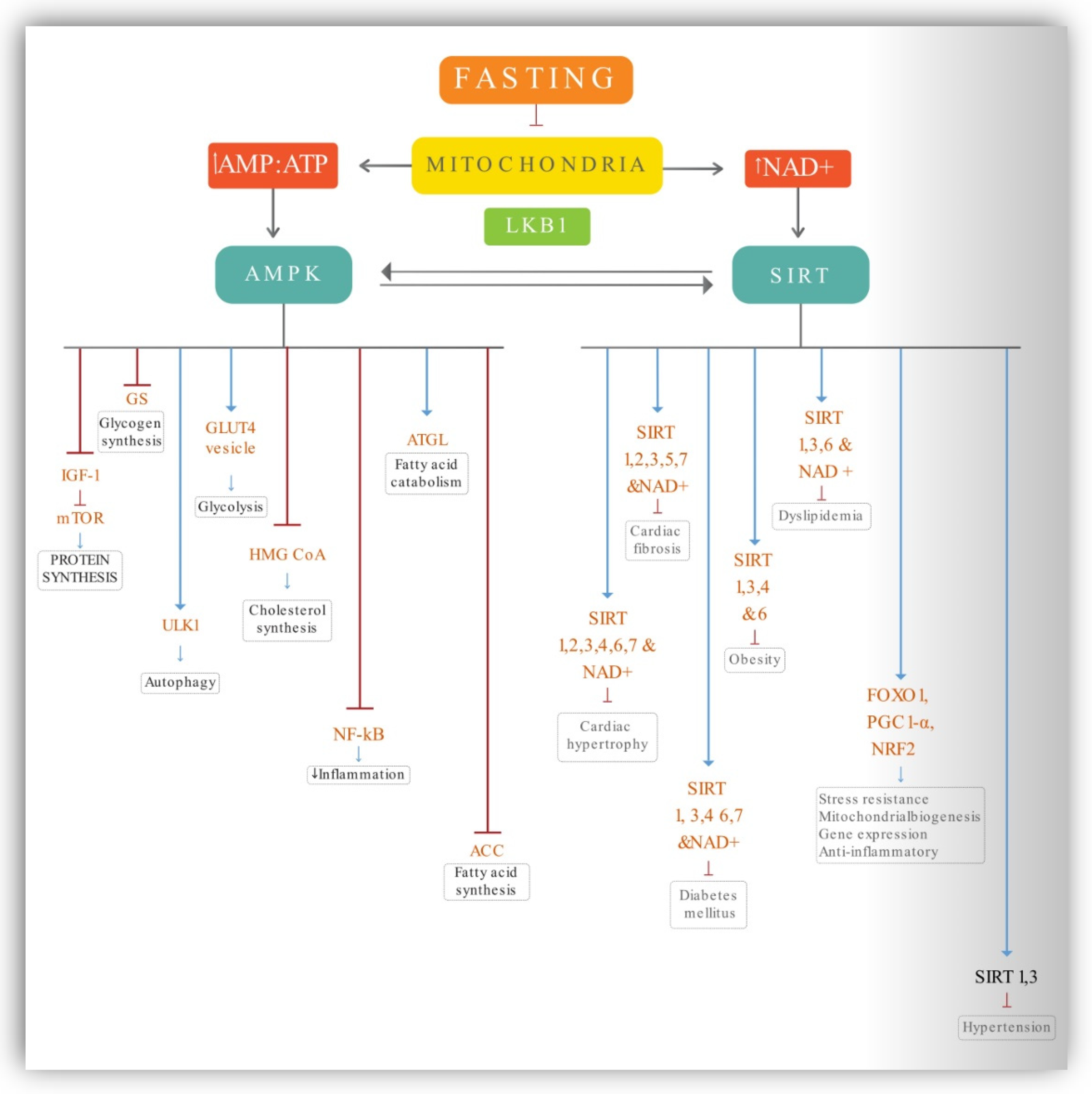 Ijerph 19 14536 g002