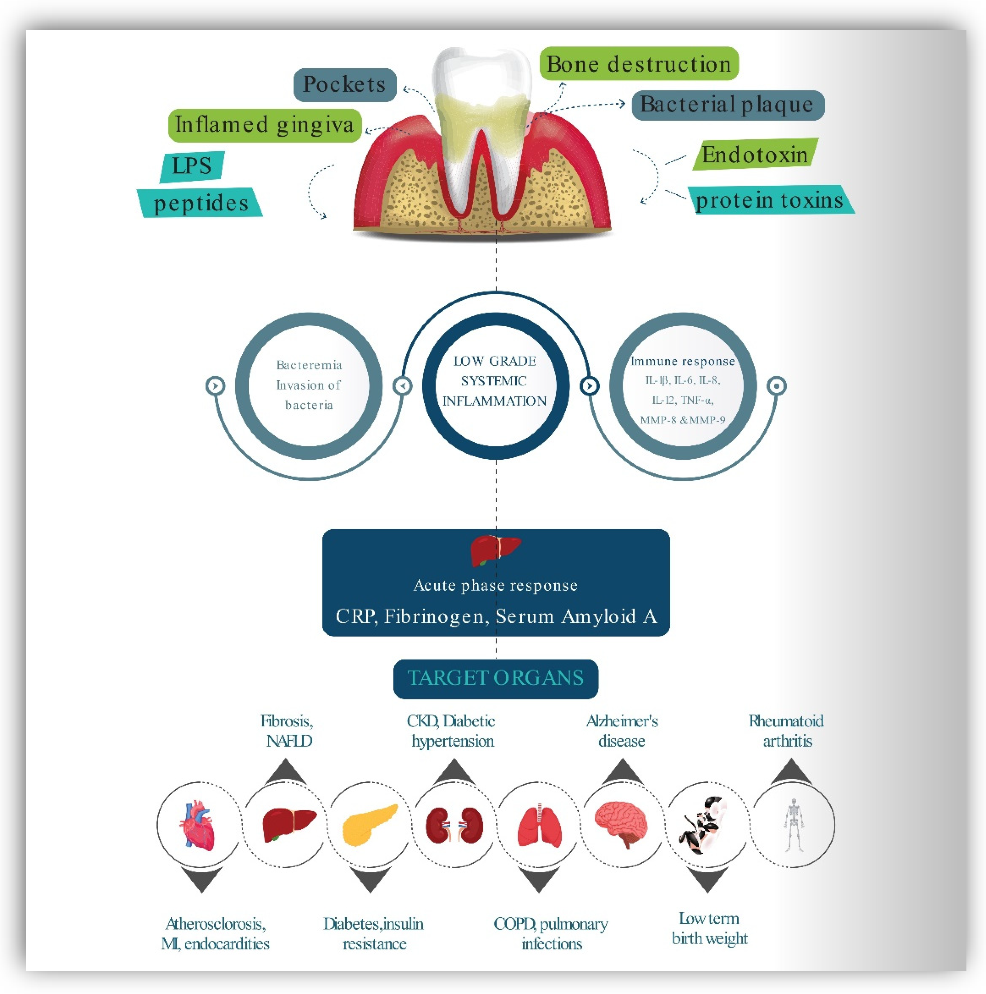 Ijerph 19 14536 g003