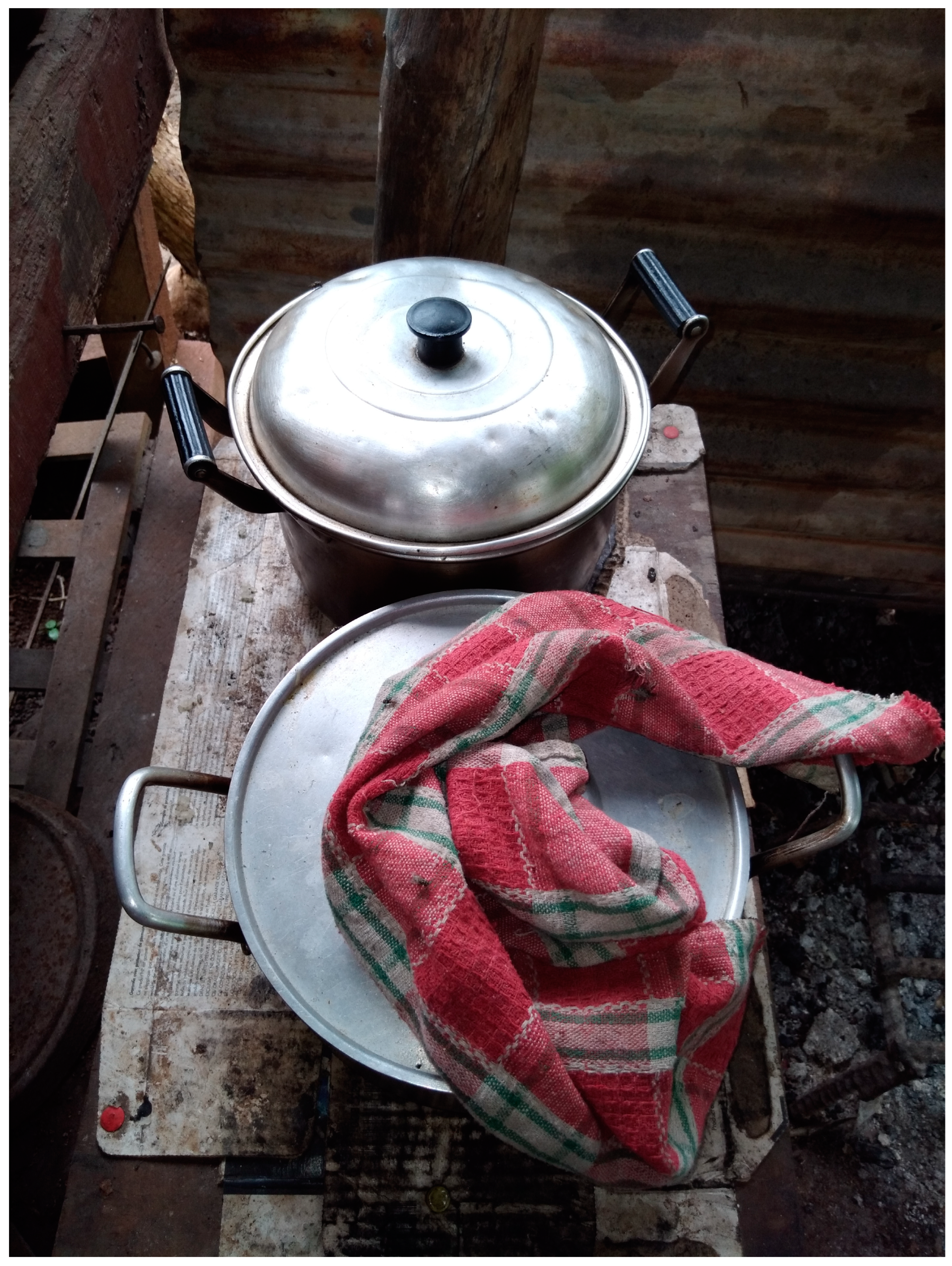 Ijerph 19 14540 g001