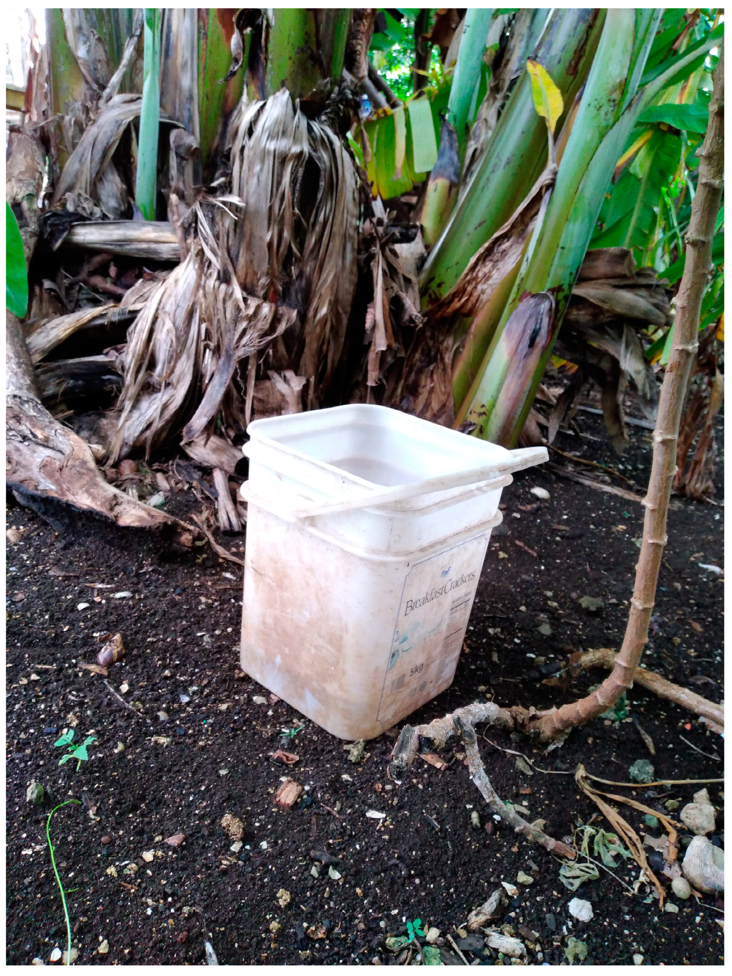 Ijerph 19 14540 g002