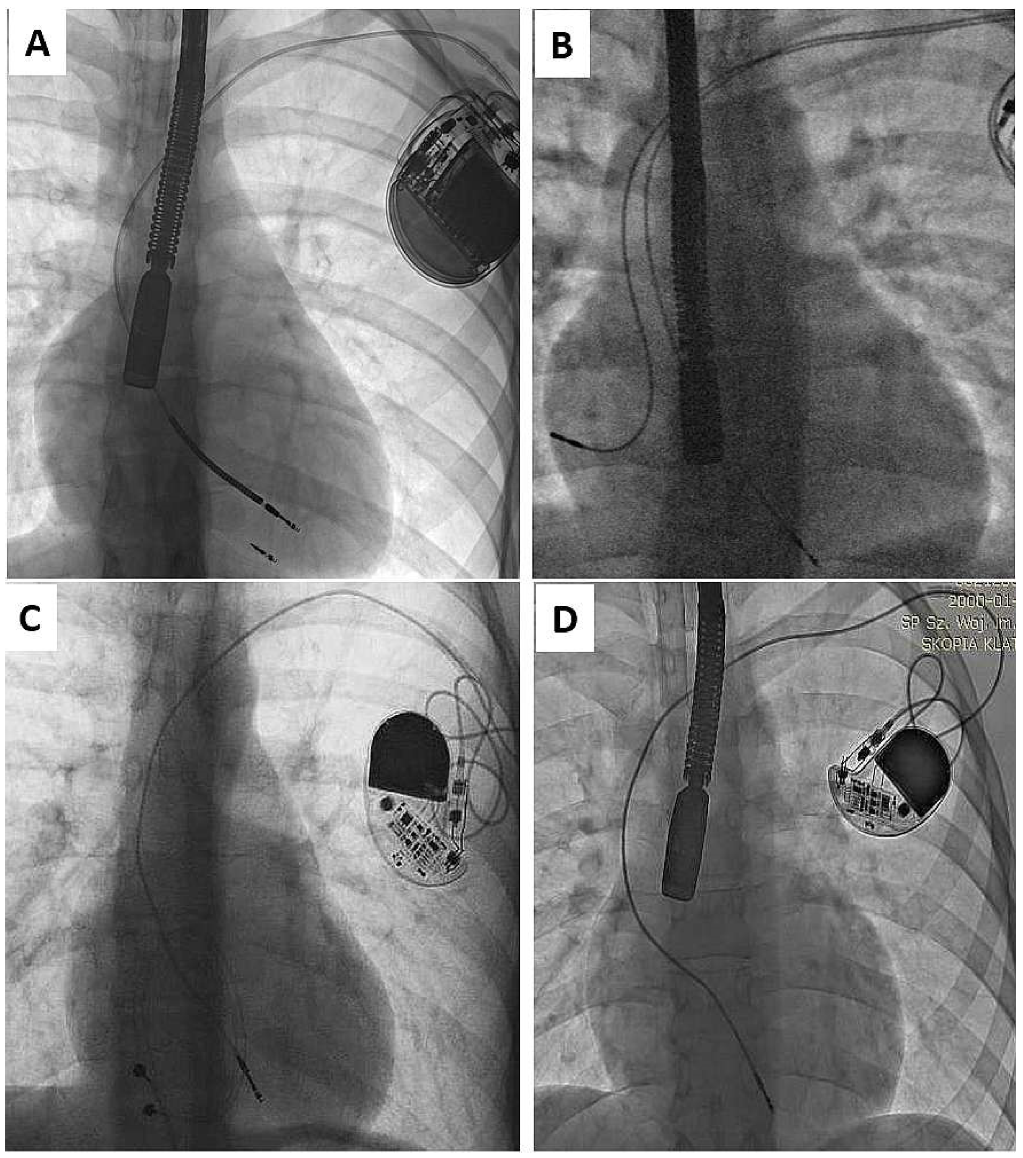 Ijerph 19 14594 g001
