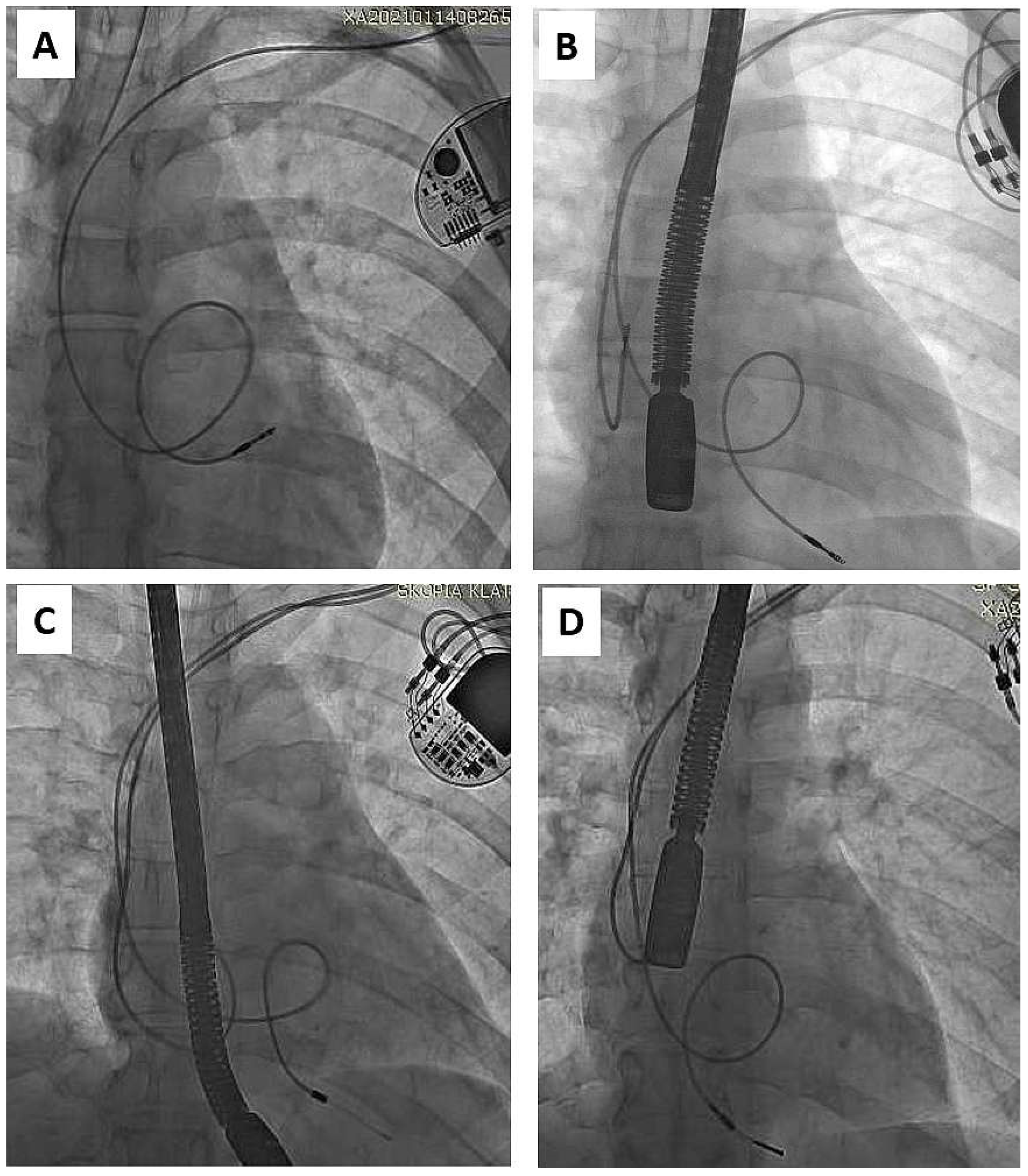 Ijerph 19 14594 g002