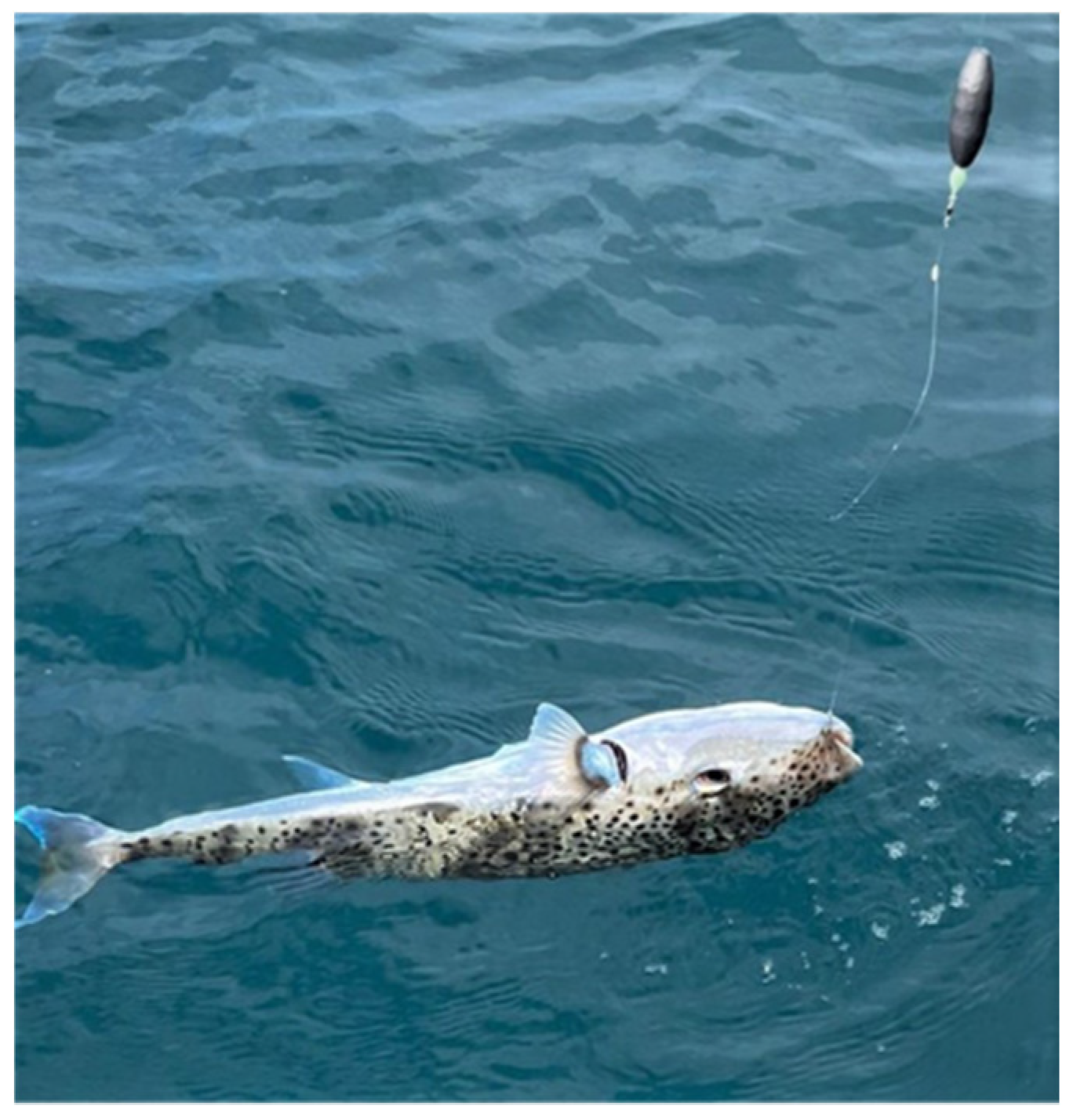 Ijerph 19 14648 g001 Ijerph 19 14648 g001