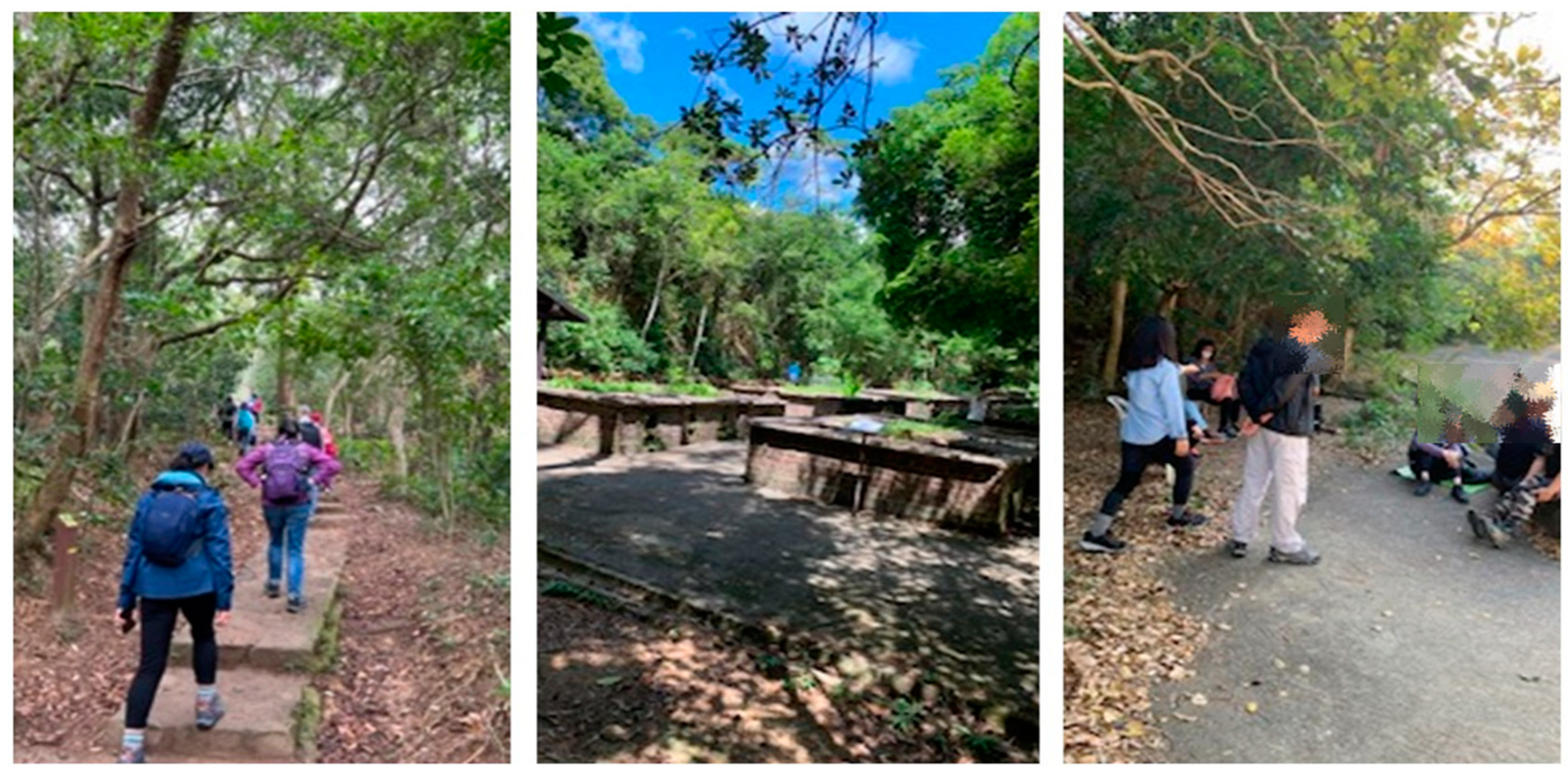 Ijerph 19 14665 g001