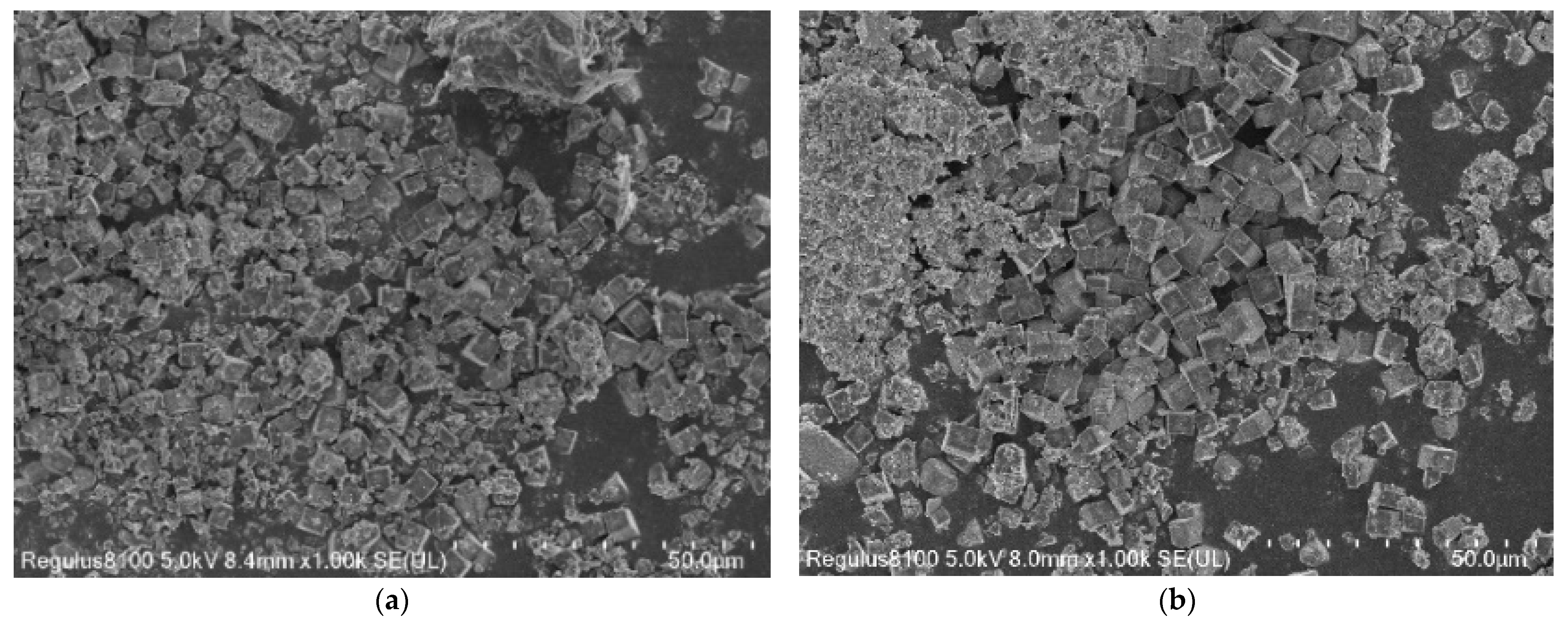 Ijerph 19 14749 g002a