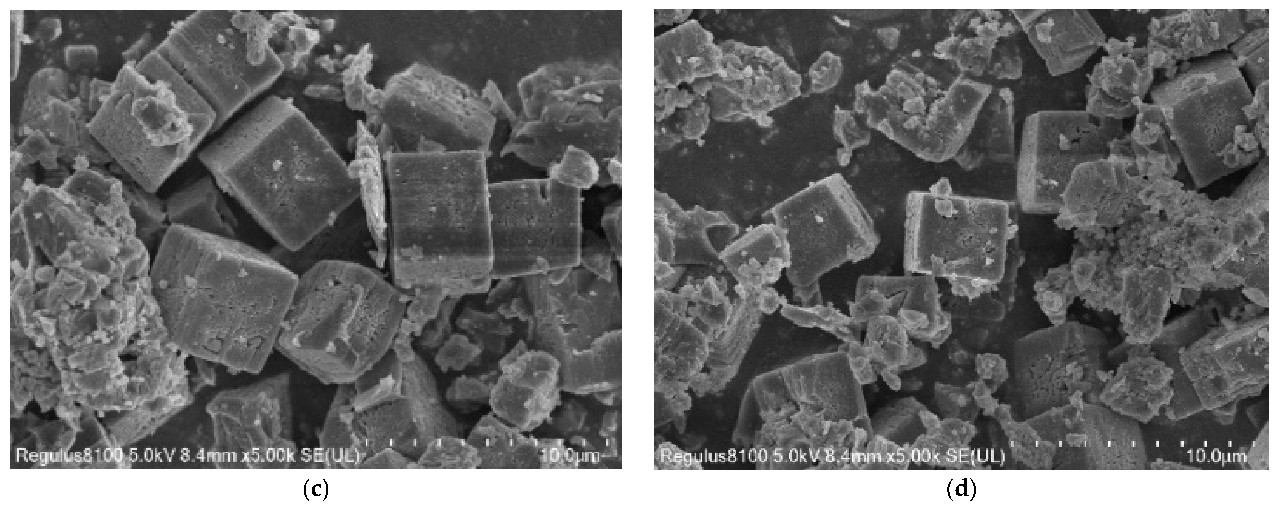 Ijerph 19 14749 g002b