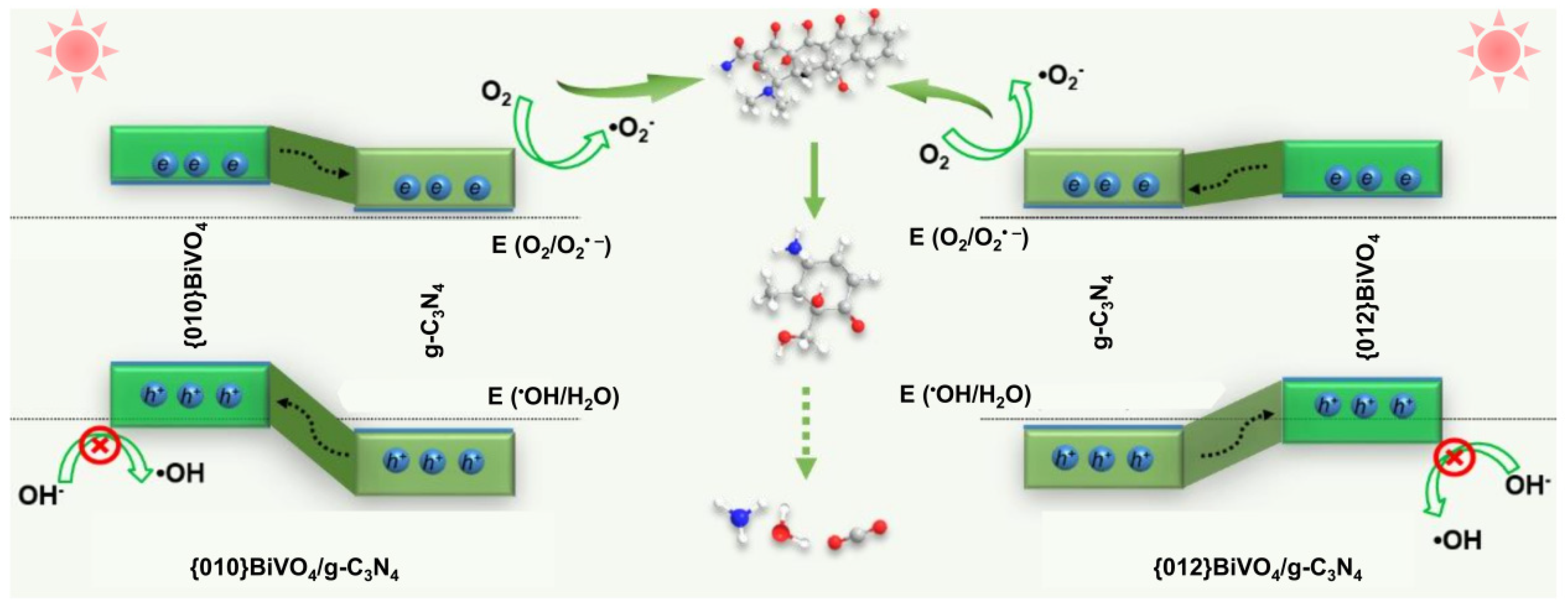 Ijerph 19 14770 g008