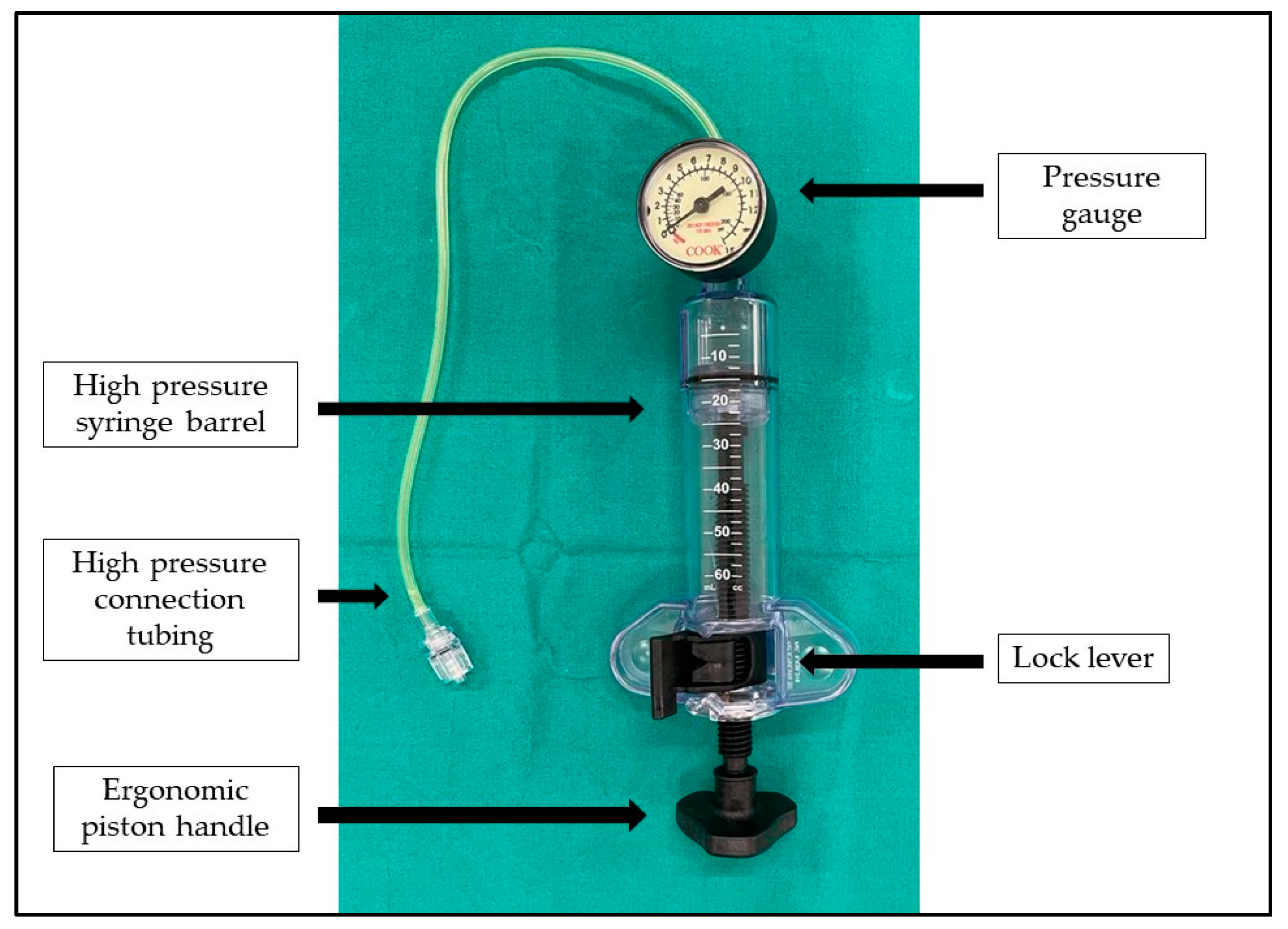 Ijerph 19 14830 g001 Ijerph 19 14830 g001