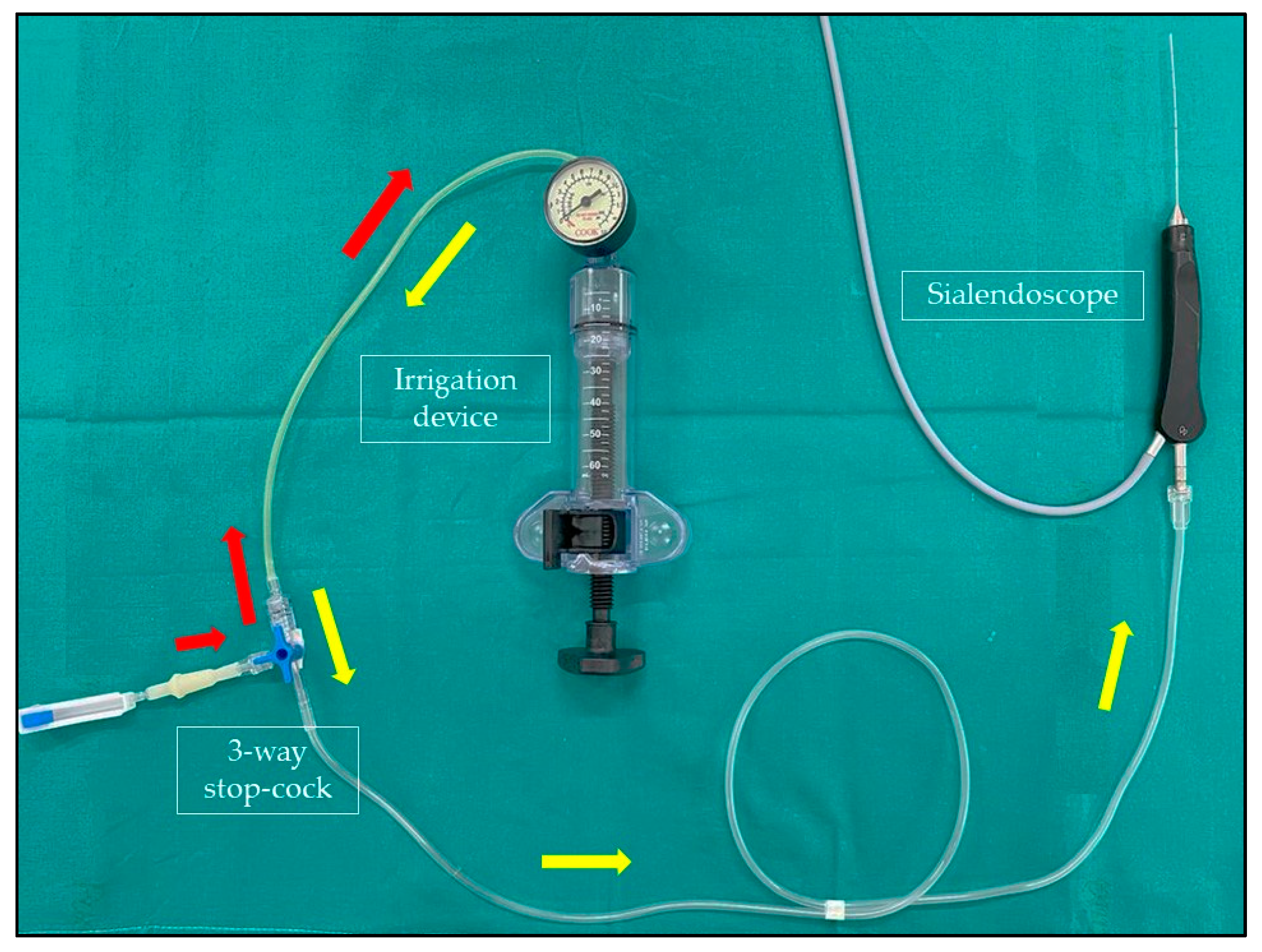 Ijerph 19 14830 g002 Ijerph 19 14830 g002