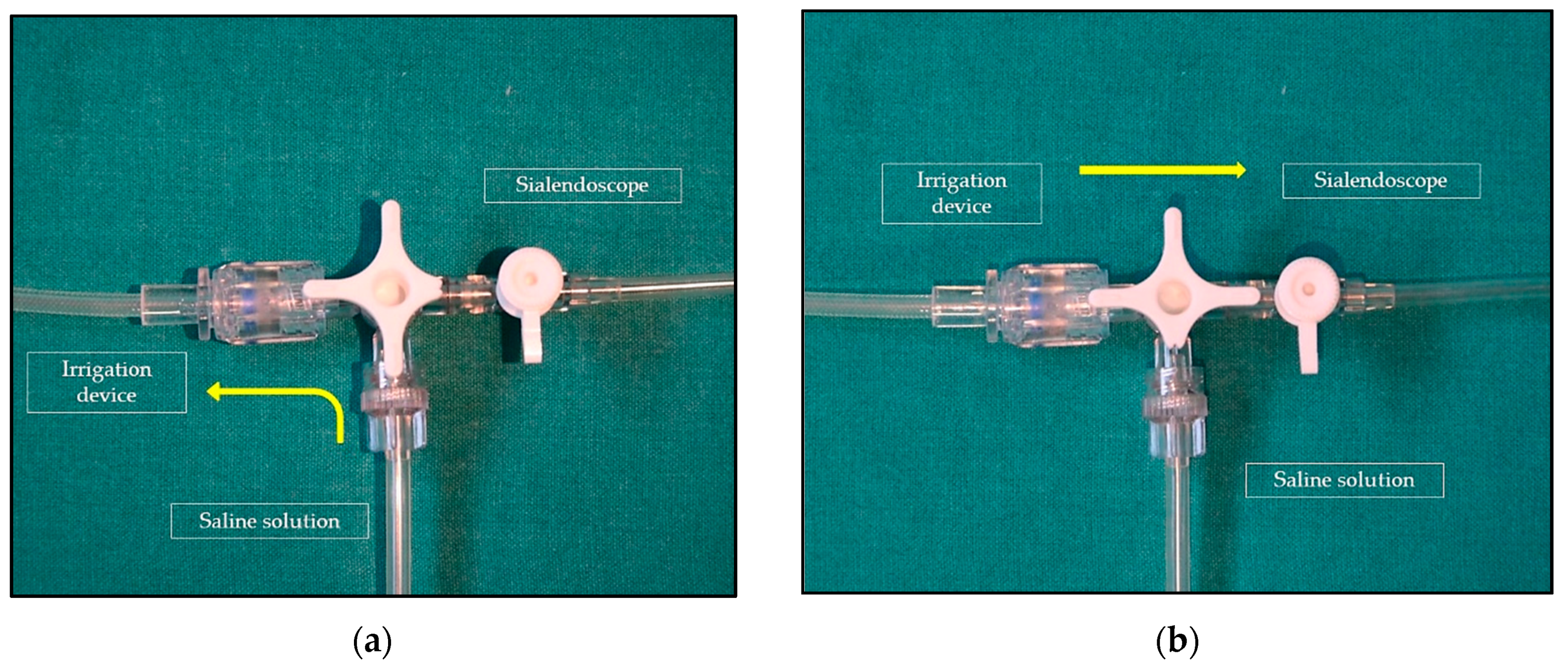 Ijerph 19 14830 g003 Ijerph 19 14830 g003