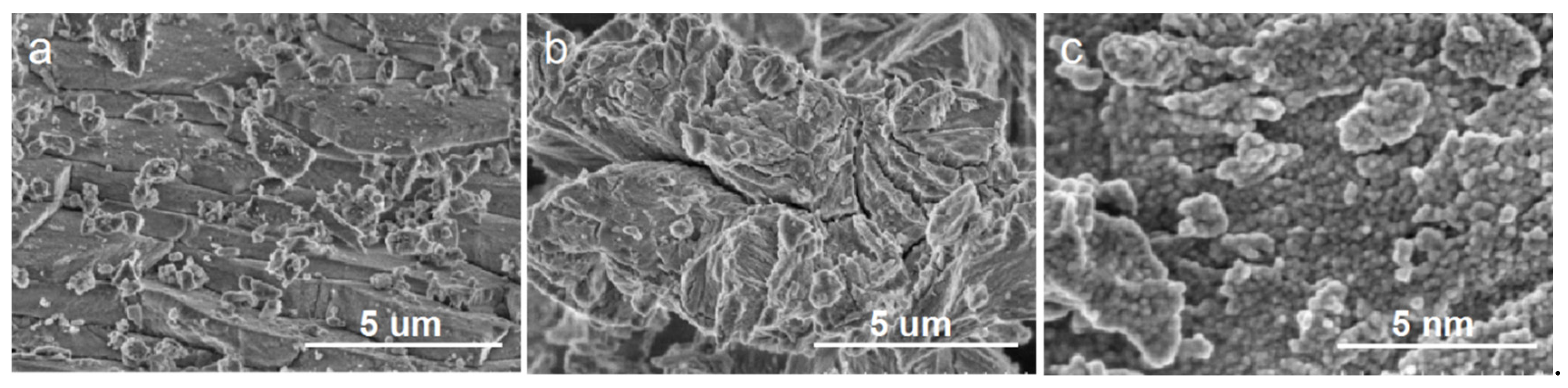 Ijerph 19 14835 g002 Ijerph 19 14835 g002