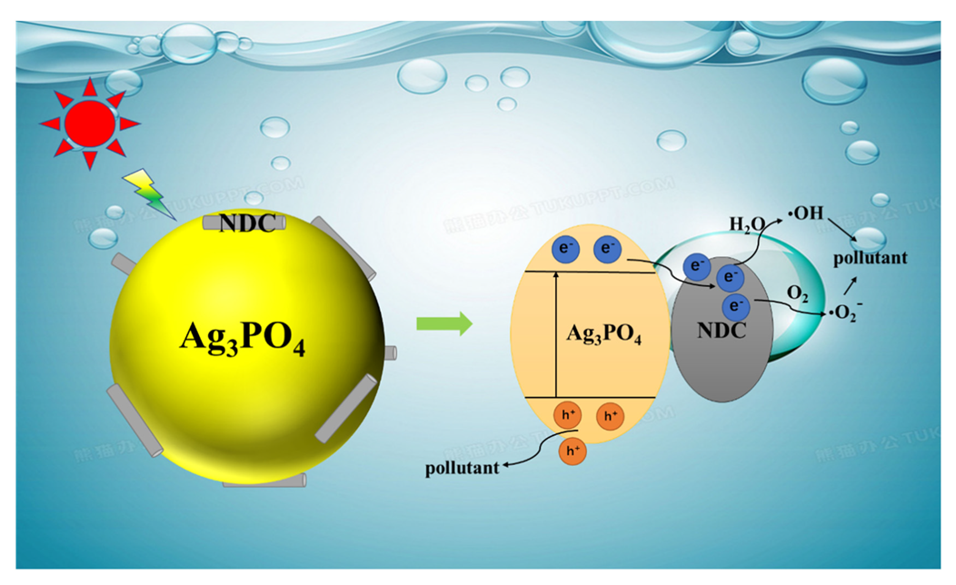 Ijerph 19 14865 g010