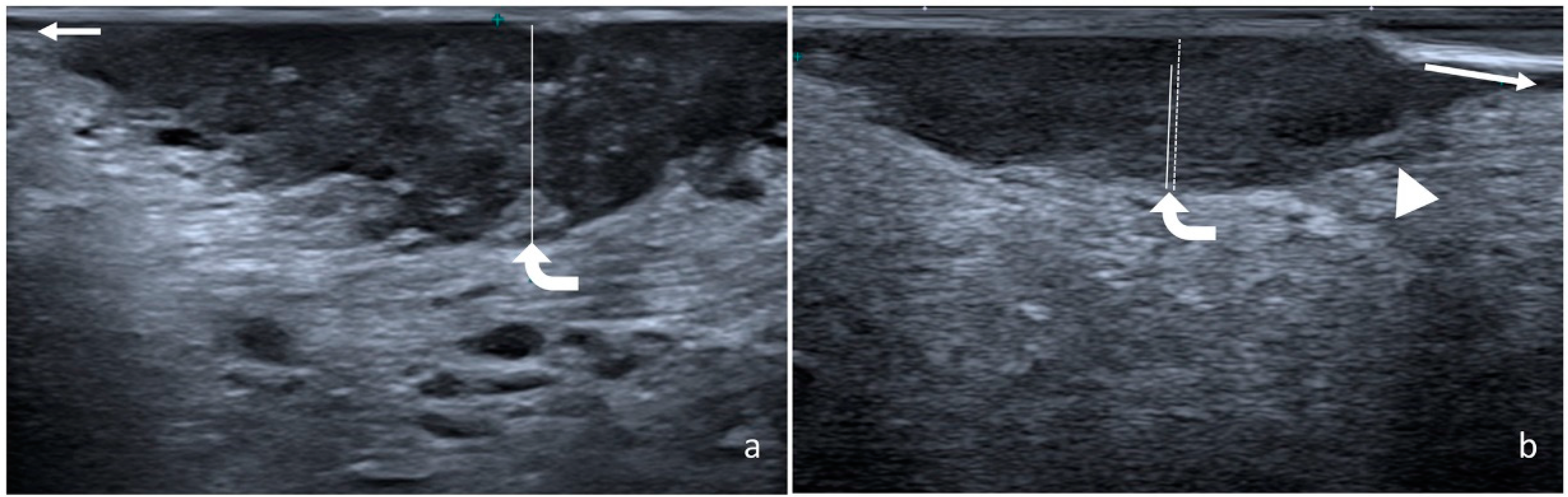 Ijerph 19 14900 g002