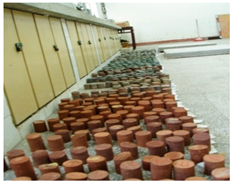 Ijerph 19 14902 i007